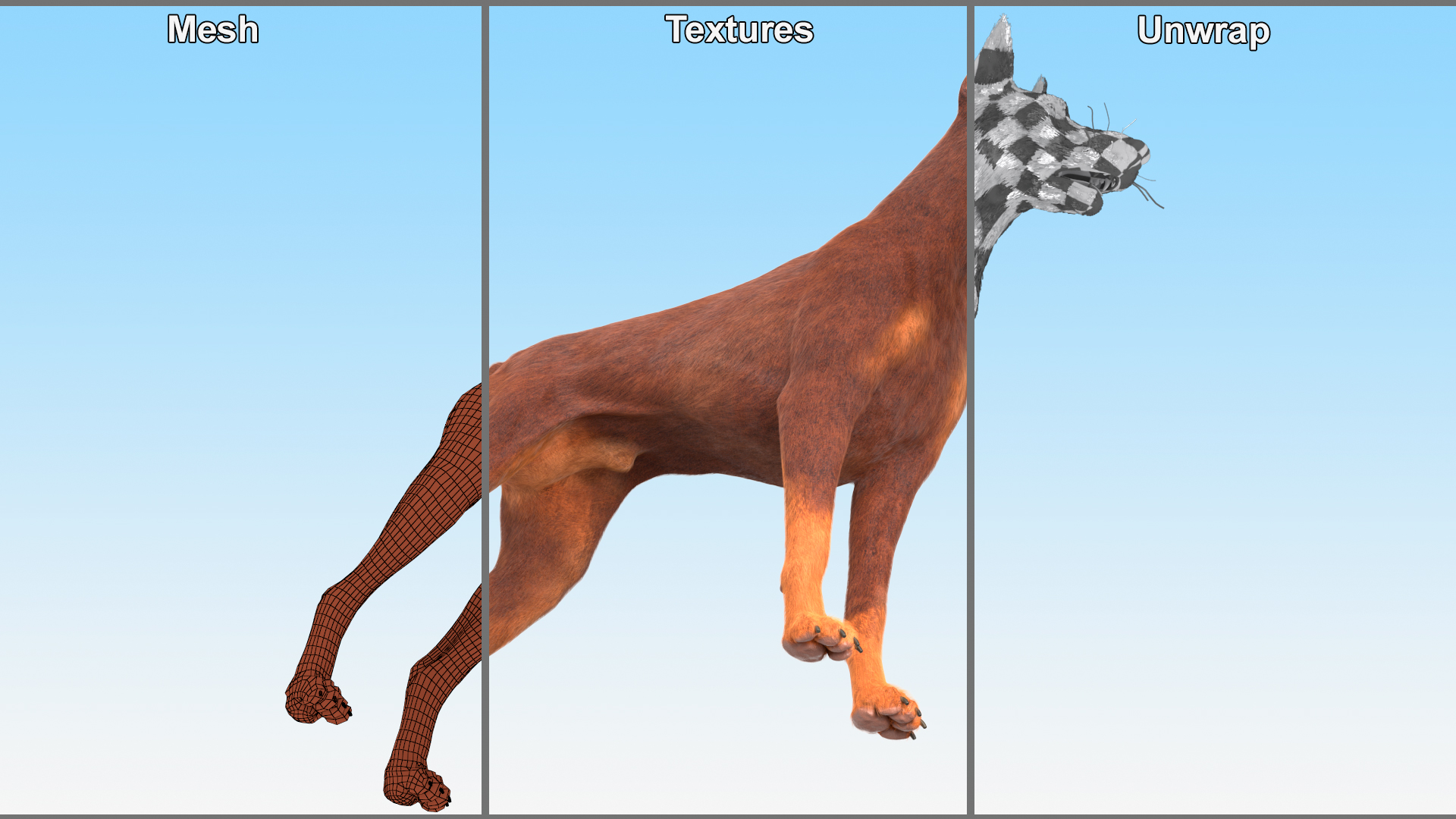 Doberman Dog Brown Fur Rigged 3D model