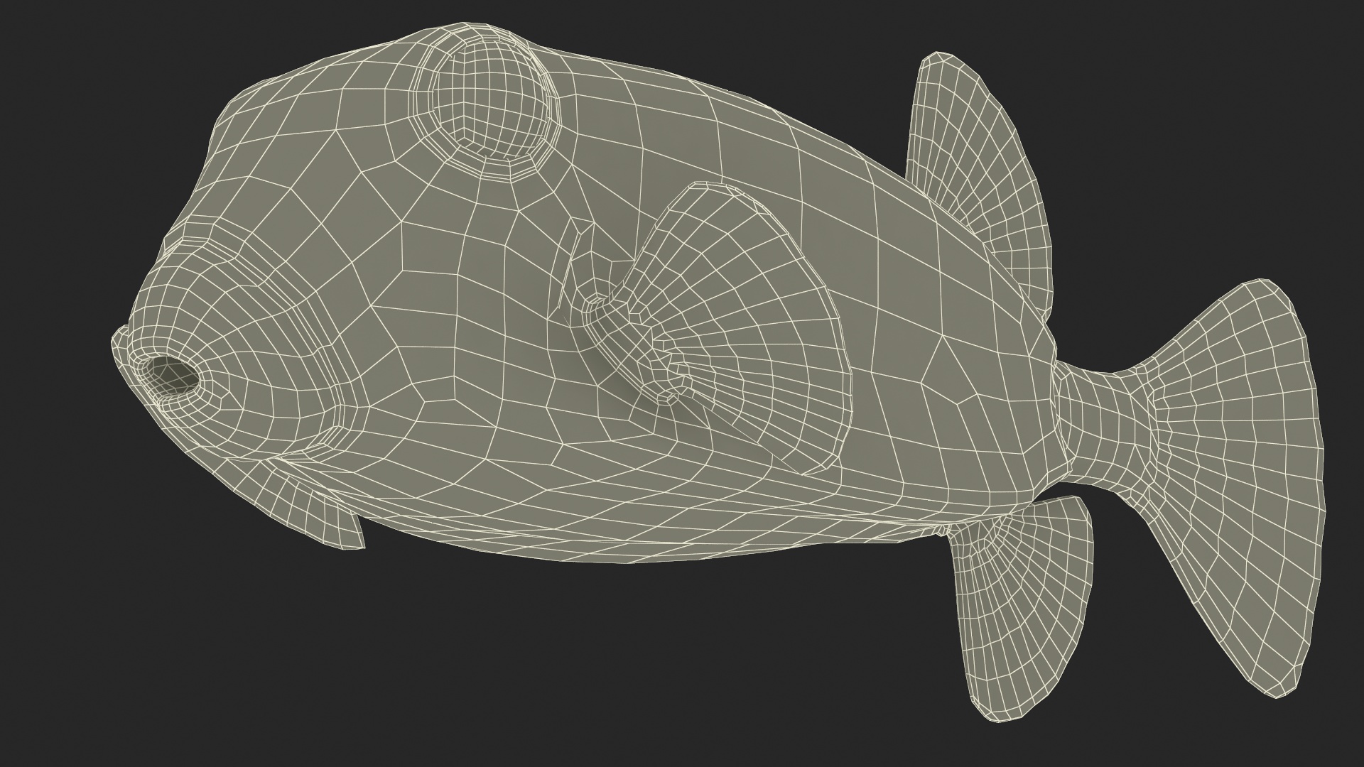 Yellow Spotted Boxfish 3D