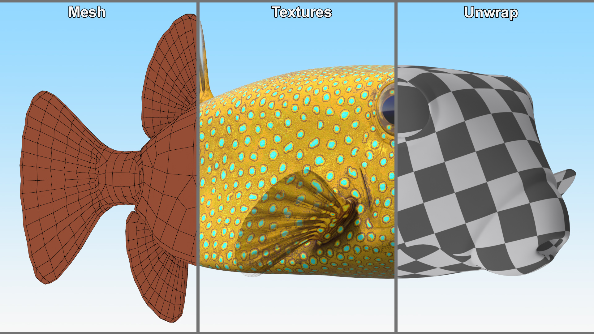 Yellow Spotted Boxfish 3D