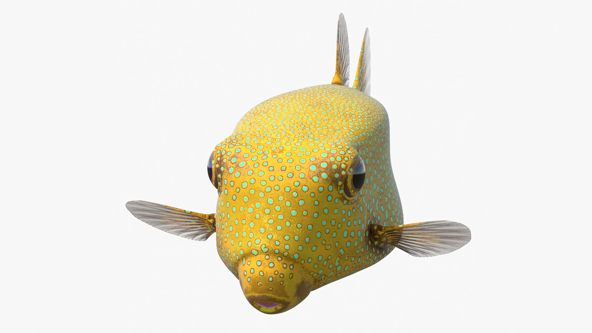 Yellow Spotted Boxfish 3D