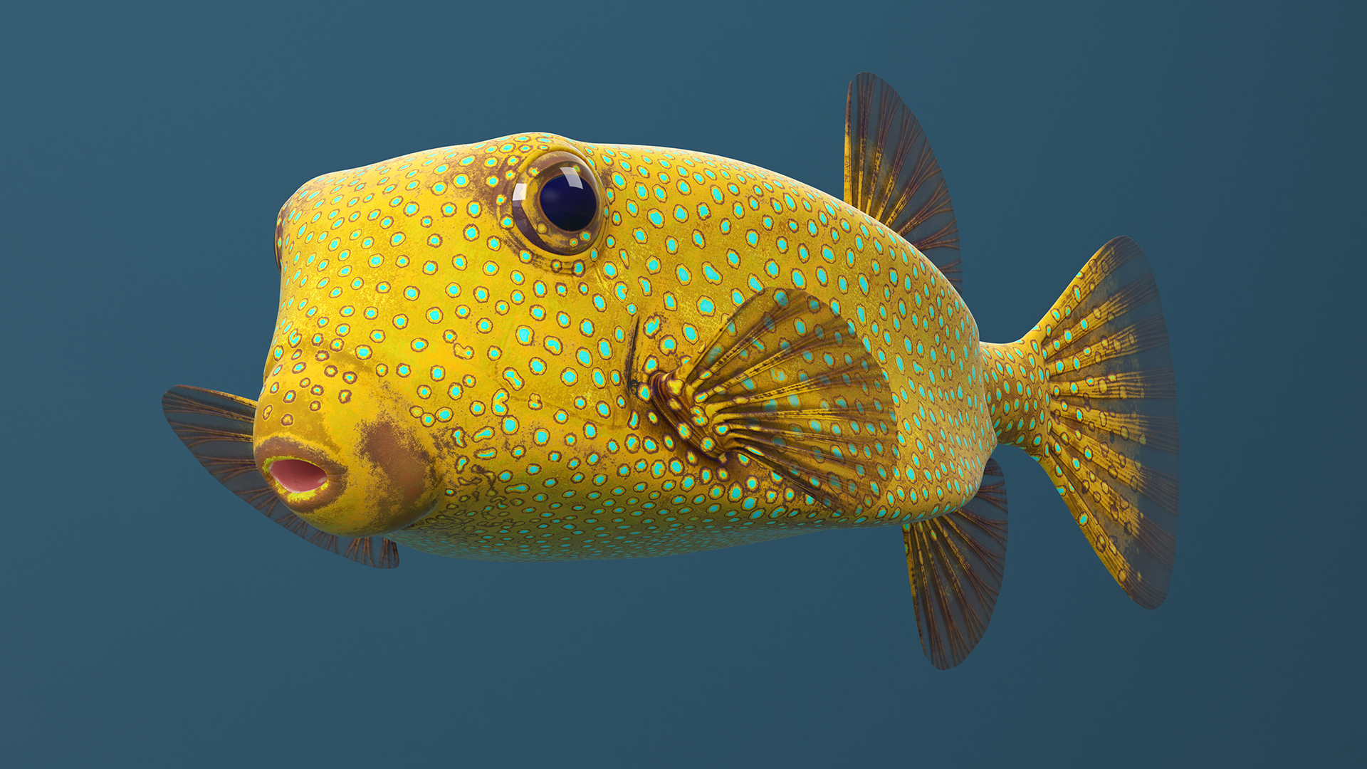 Yellow Spotted Boxfish 3D