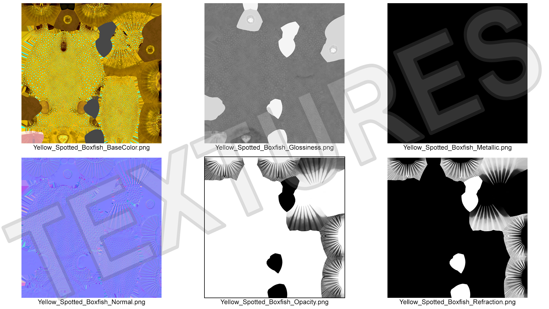 Yellow Spotted Boxfish 3D