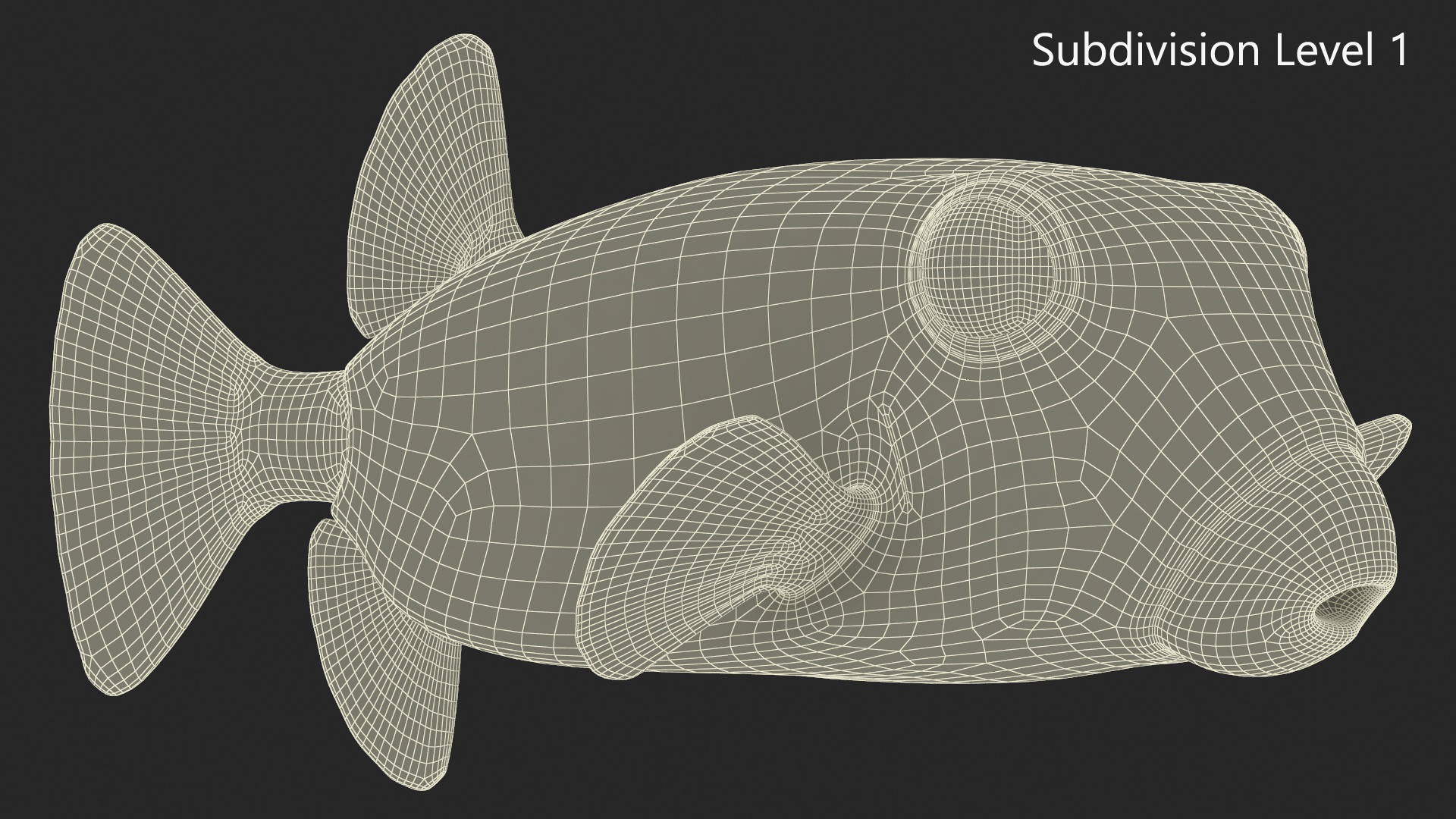 Yellow Spotted Boxfish 3D