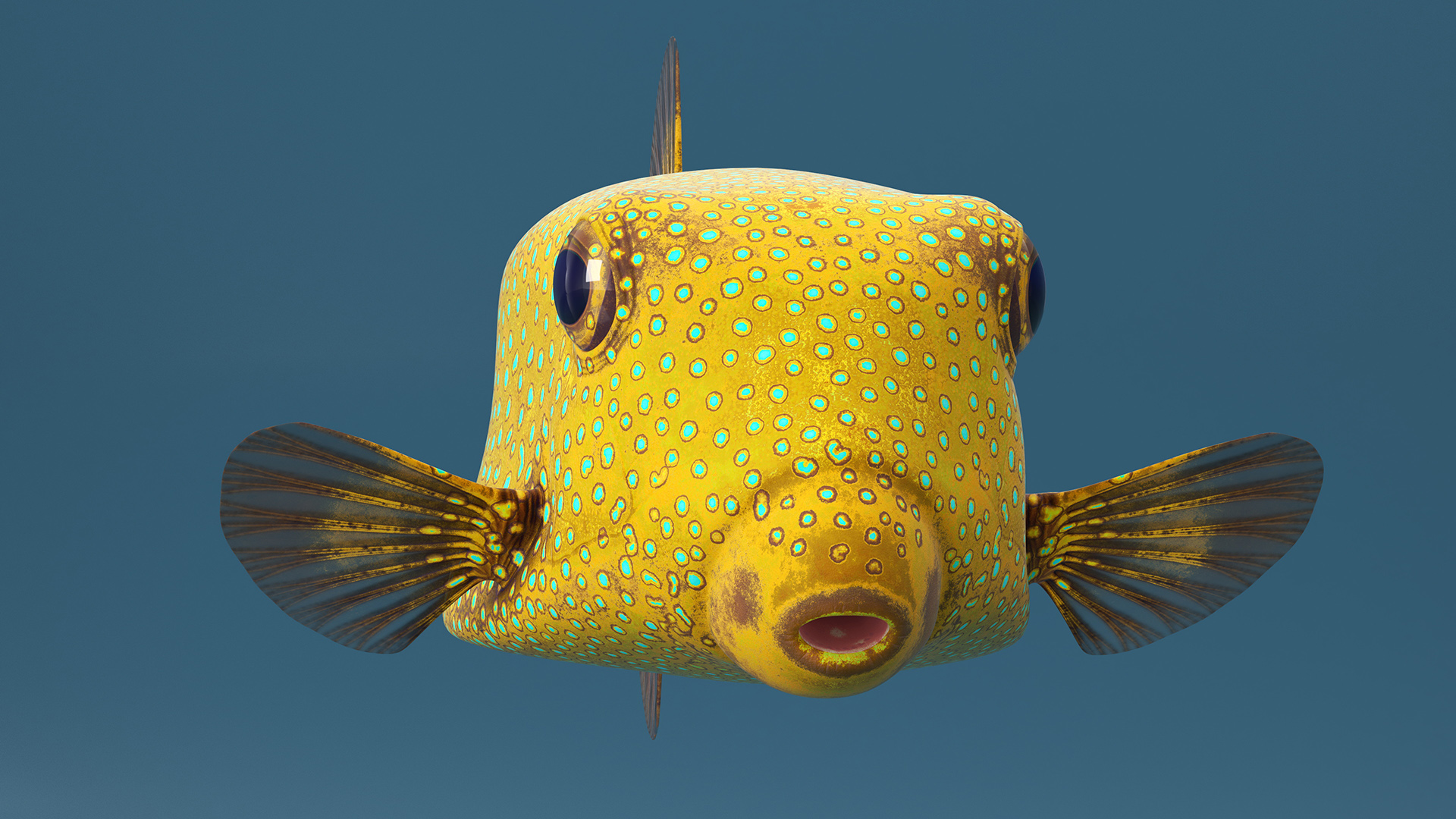 Yellow Spotted Boxfish 3D