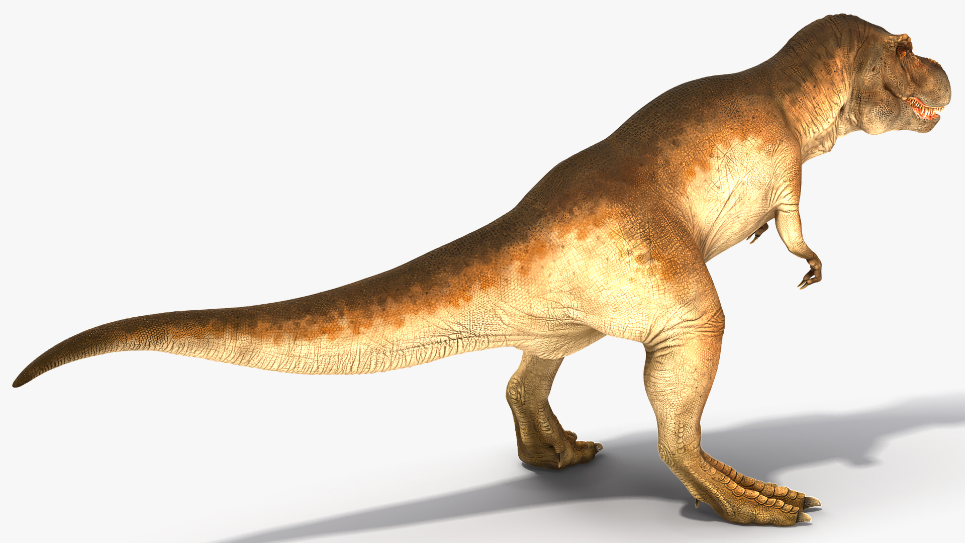 3D Animated Tyrannosaurus Rex Roaring Rigged