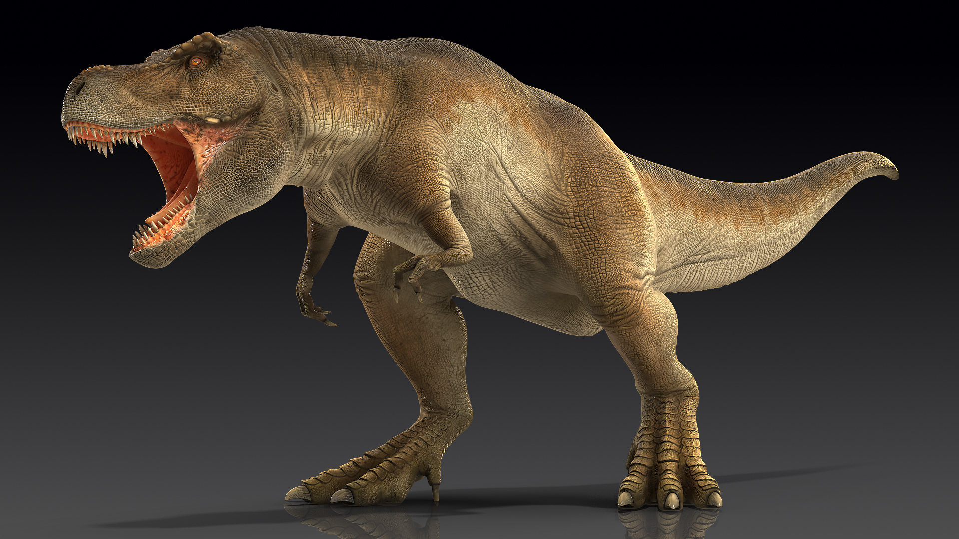 3D Animated Tyrannosaurus Rex Roaring Rigged