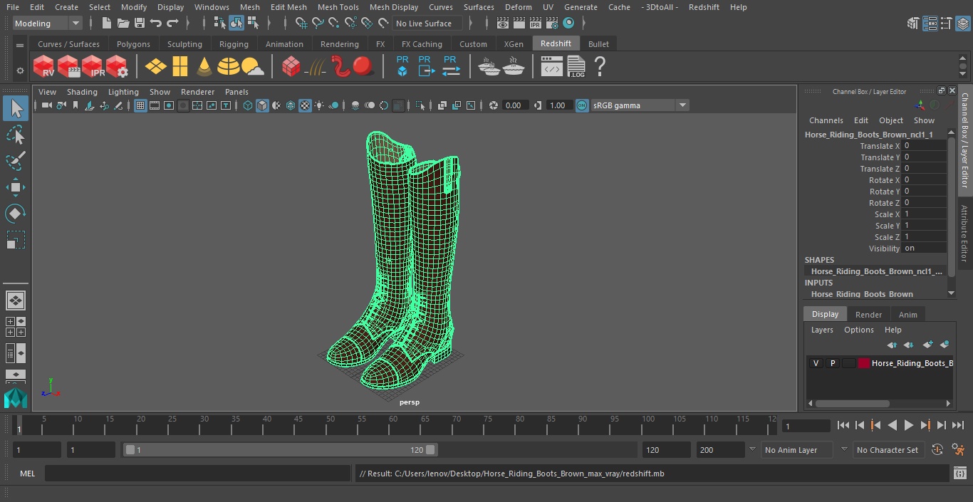 Horse Riding Boots Brown 3D model