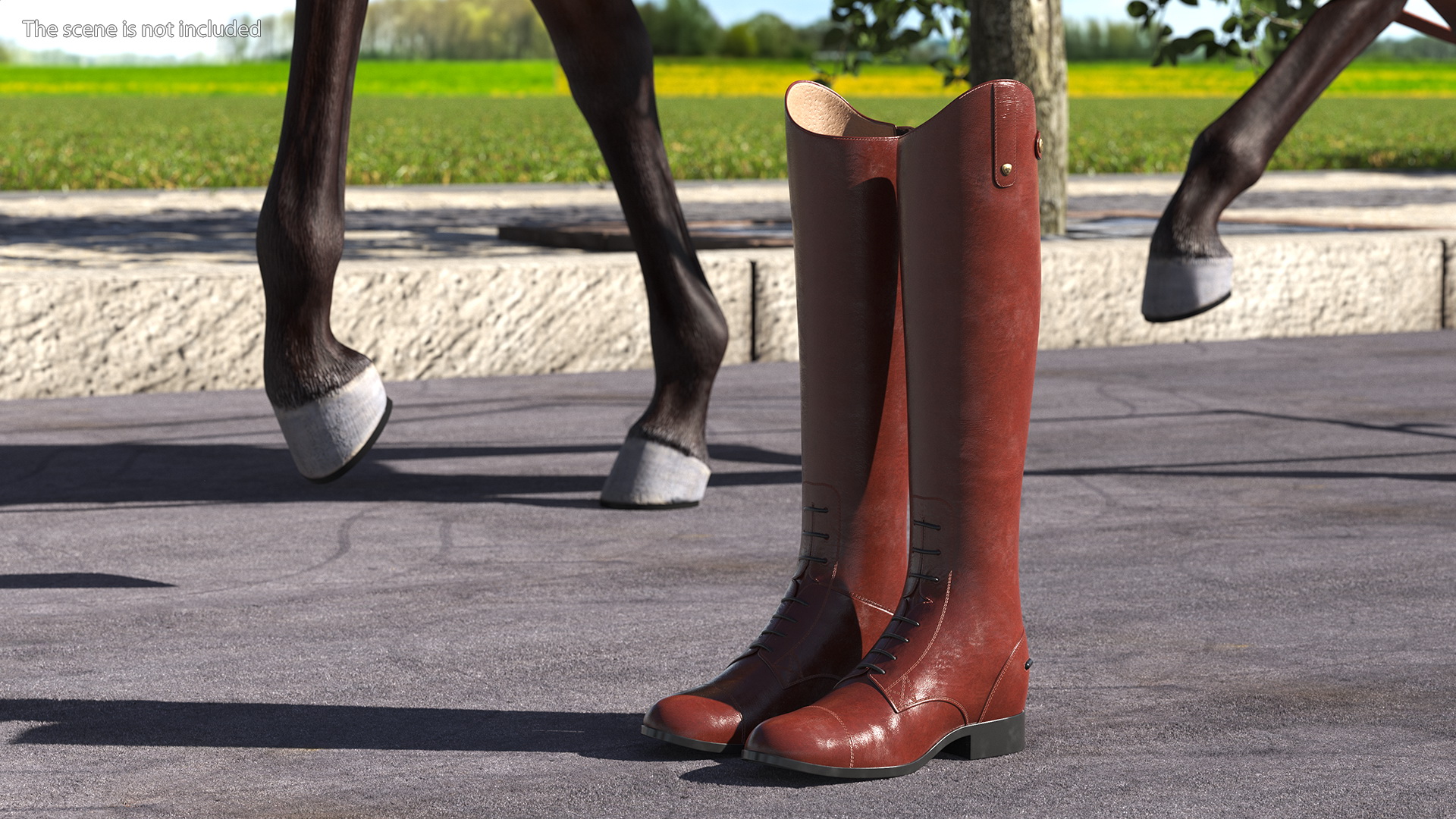 Horse Riding Boots Brown 3D model