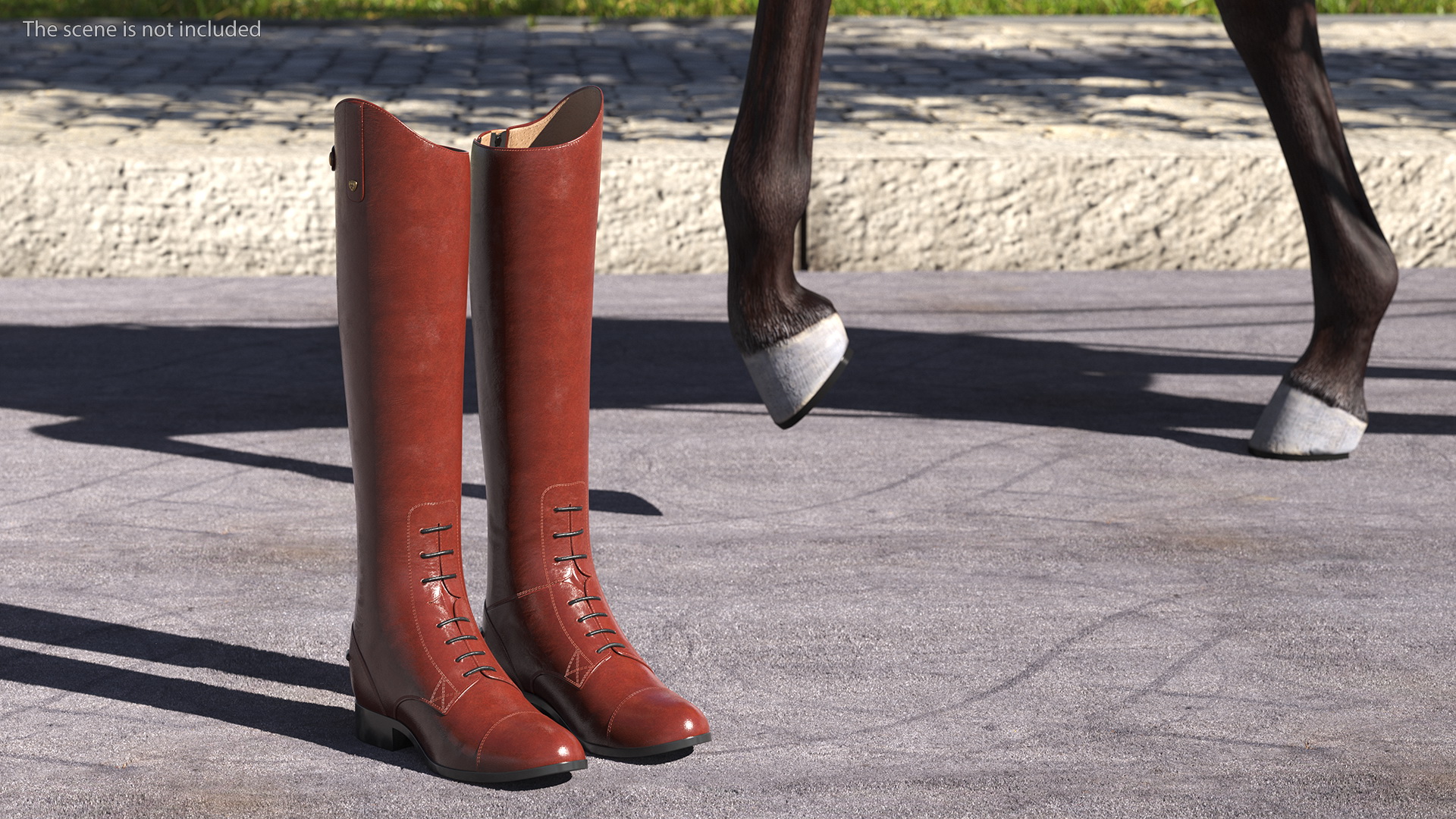 Horse Riding Boots Brown 3D model