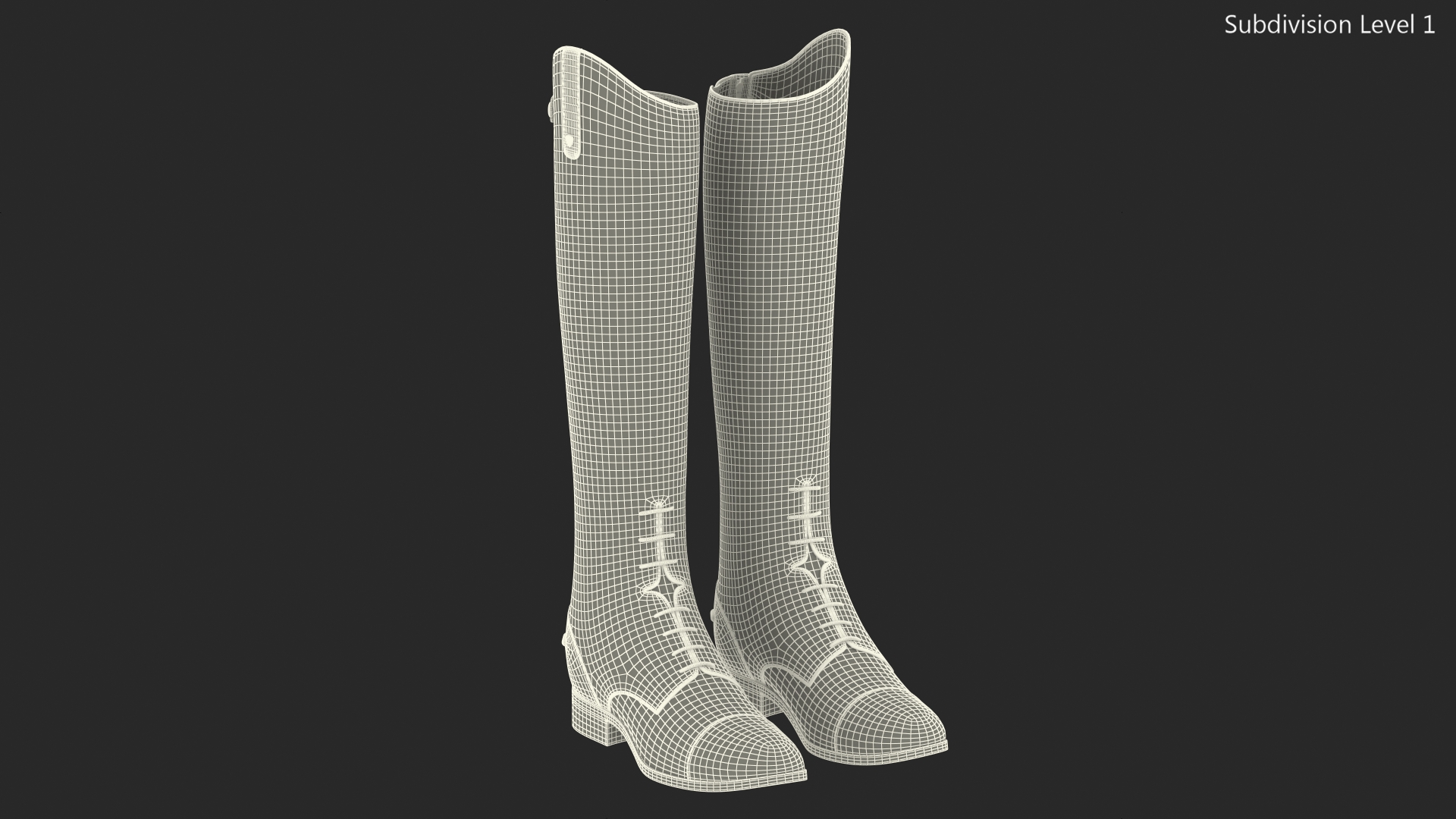Horse Riding Boots Brown 3D model