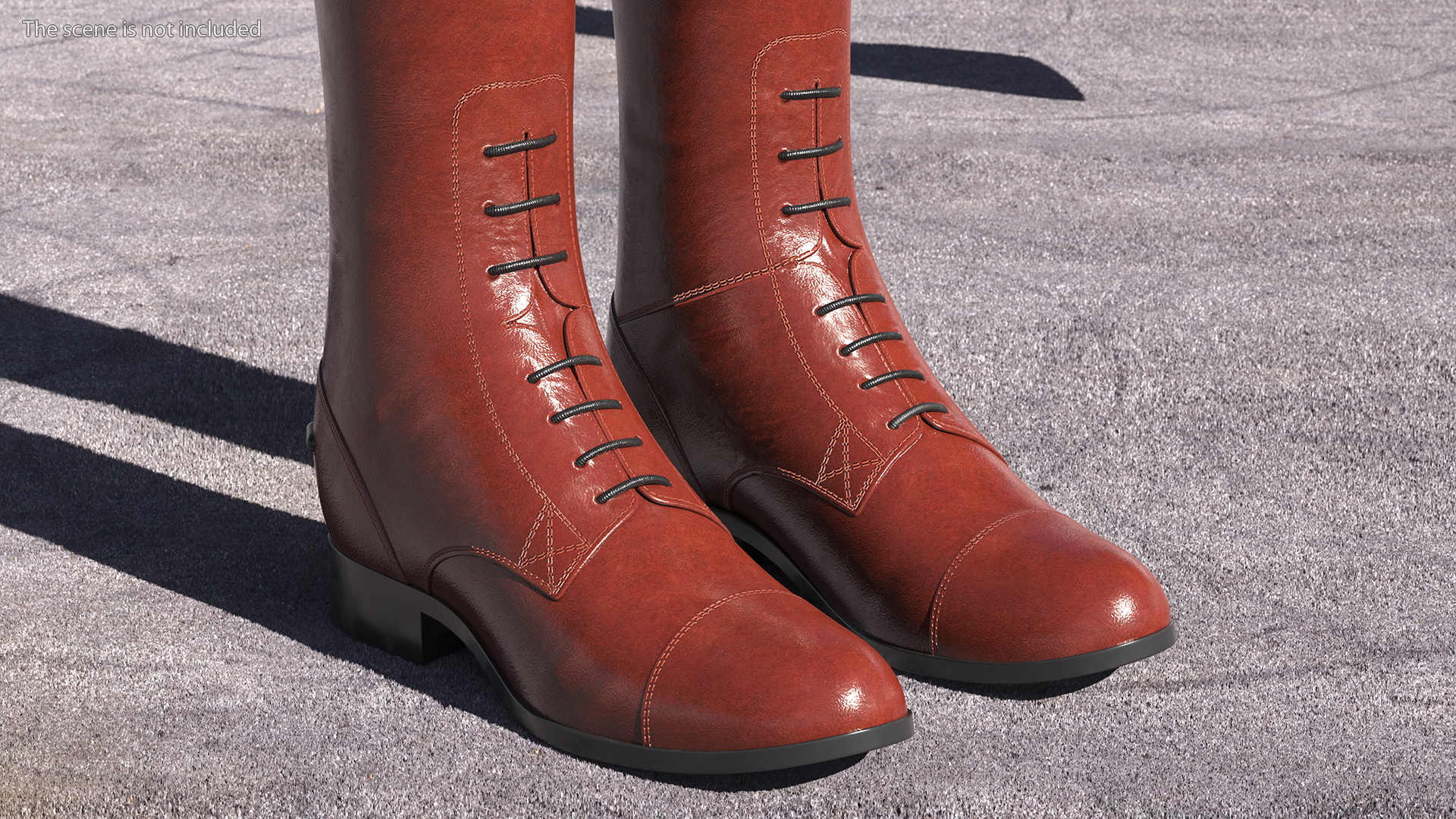 Horse Riding Boots Brown 3D model