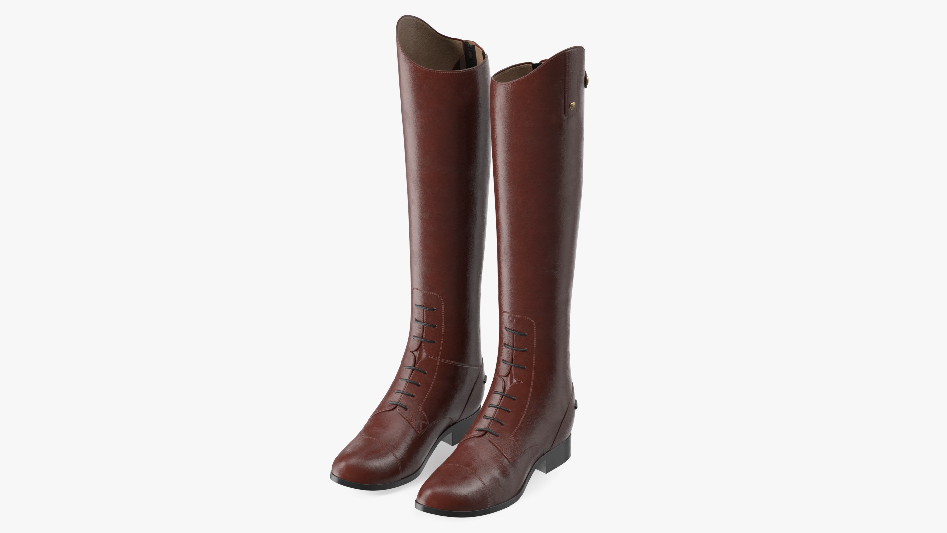 Horse Riding Boots Brown 3D model