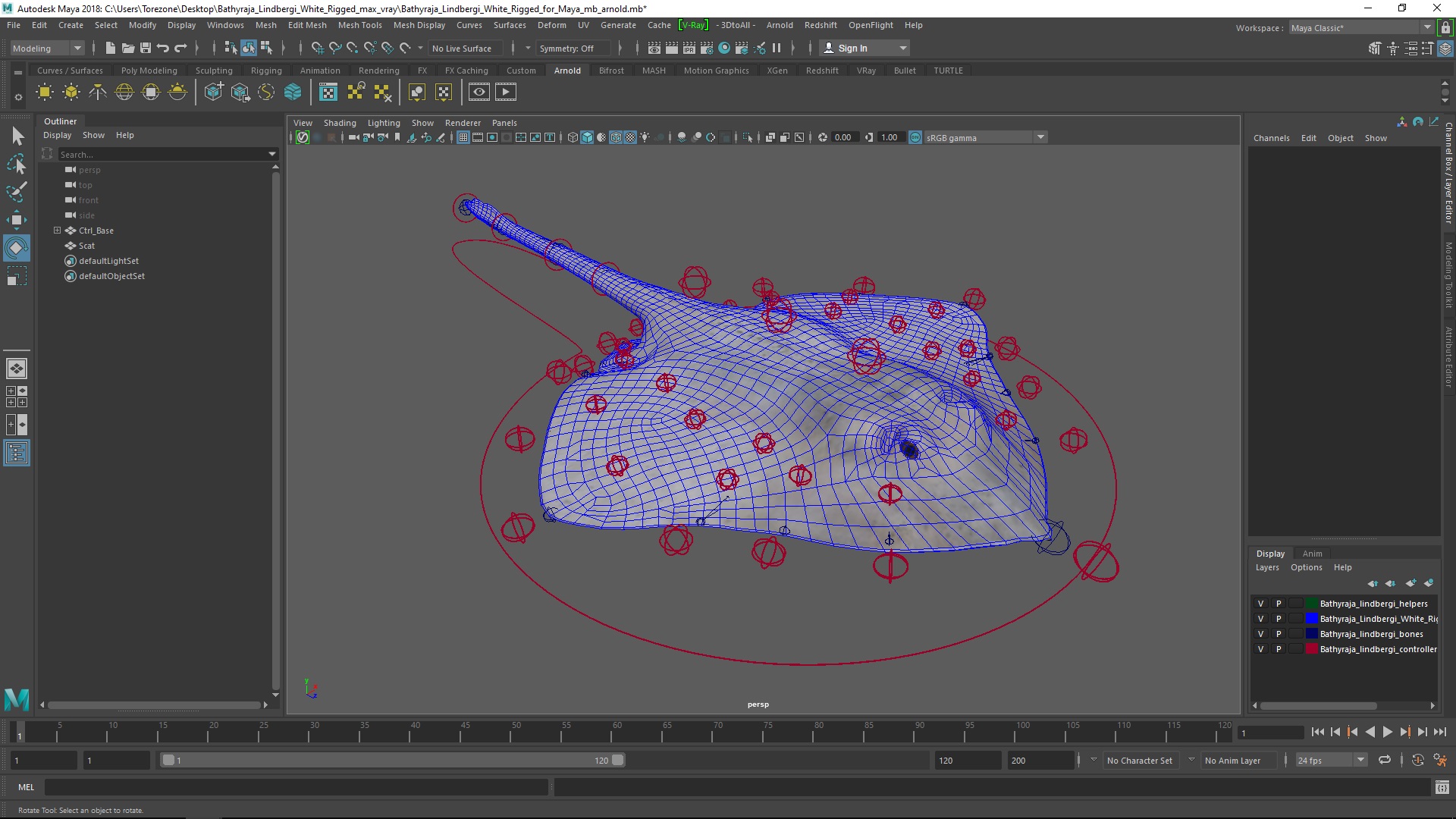3D Bathyraja Lindbergi White Rigged for Maya