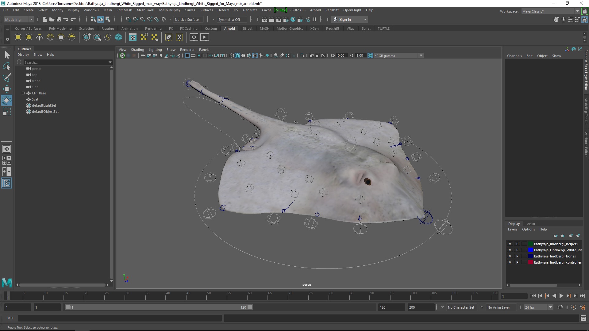 3D Bathyraja Lindbergi White Rigged for Maya