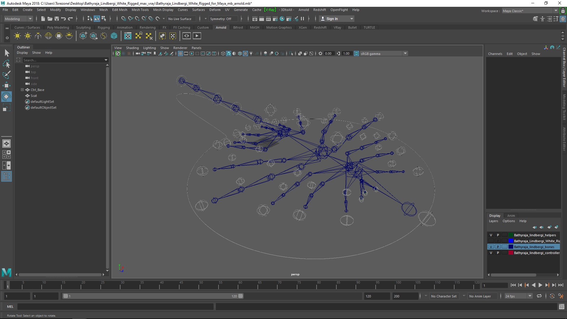 3D Bathyraja Lindbergi White Rigged for Maya