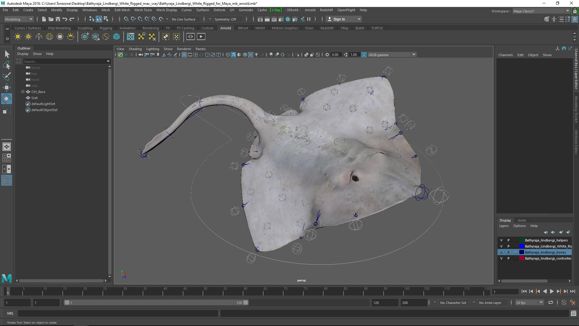 3D Bathyraja Lindbergi White Rigged for Maya