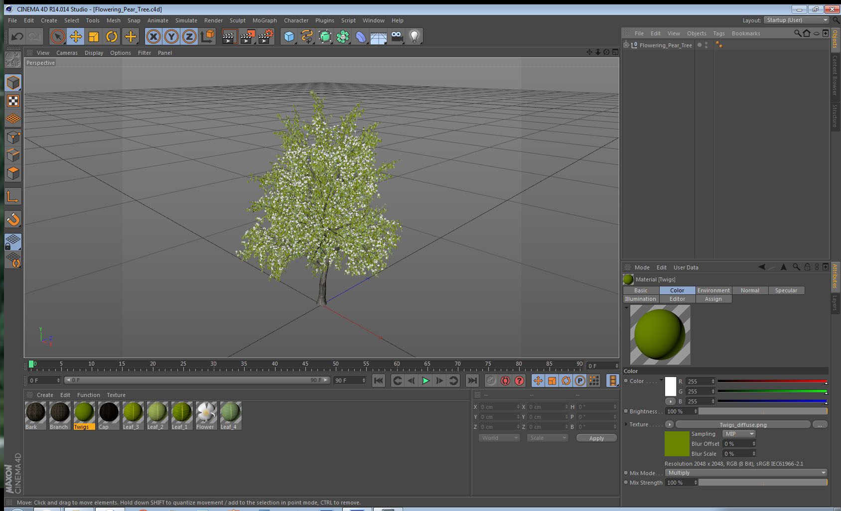Flowering Pear Tree 3D model