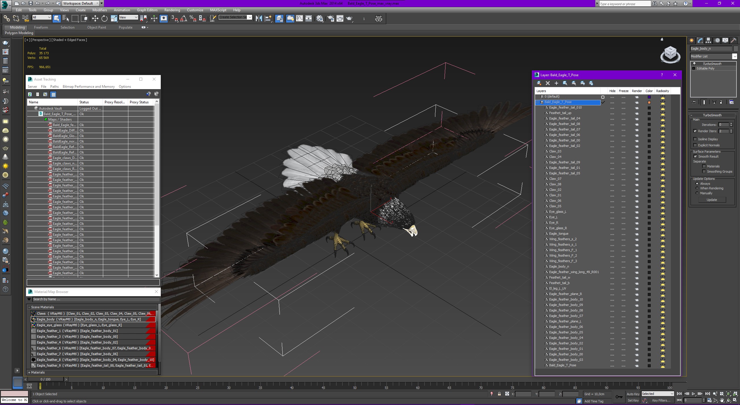 Bald Eagle T Pose 3D