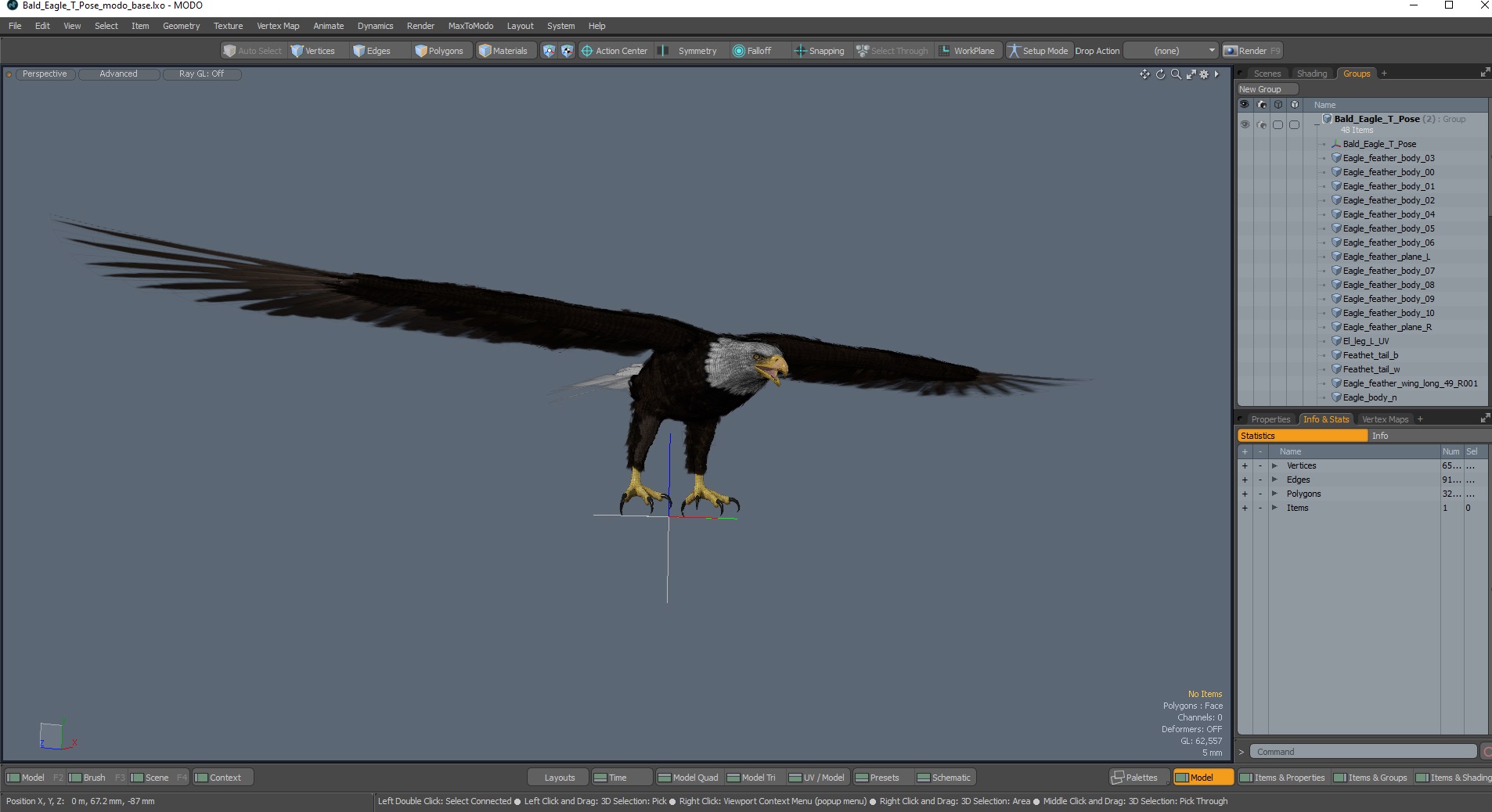 Bald Eagle T Pose 3D