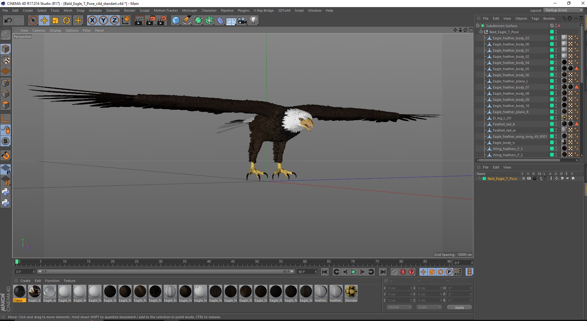 Bald Eagle T Pose 3D