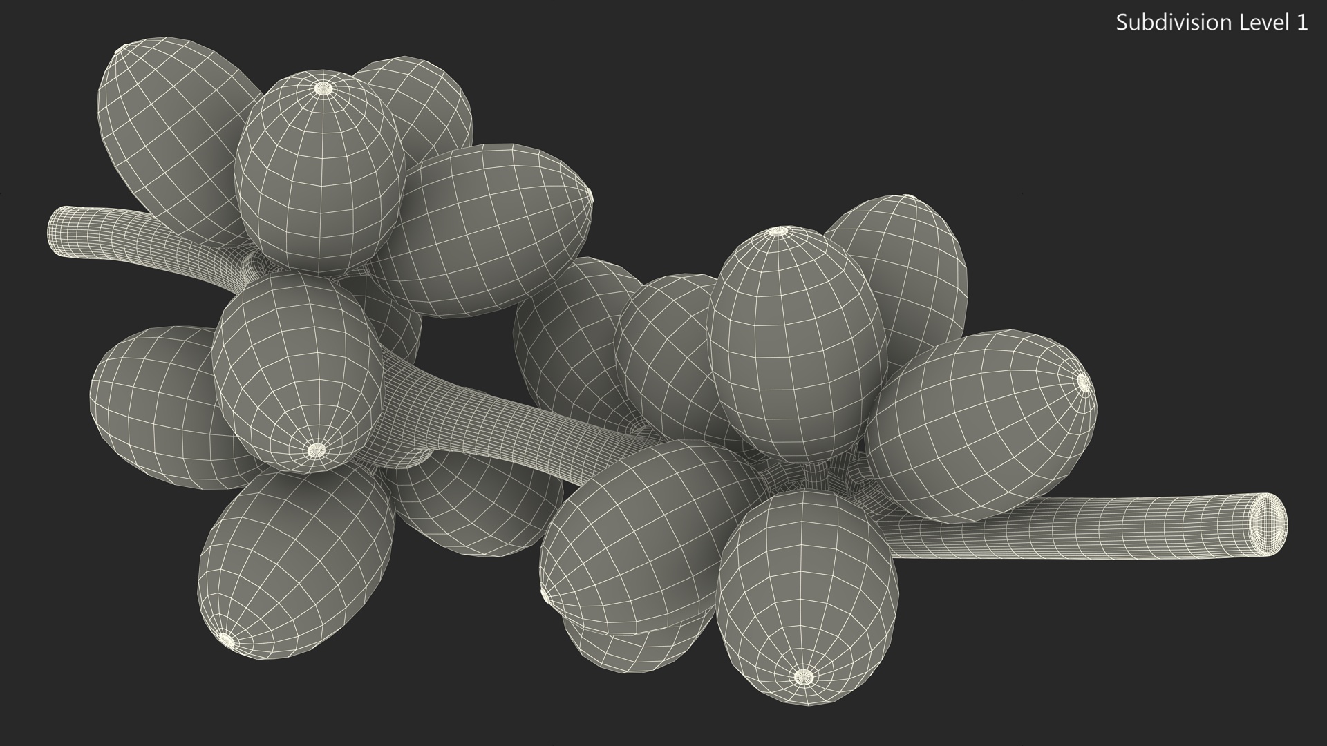 3D Bunch of Fresh Green Coffee Beans model