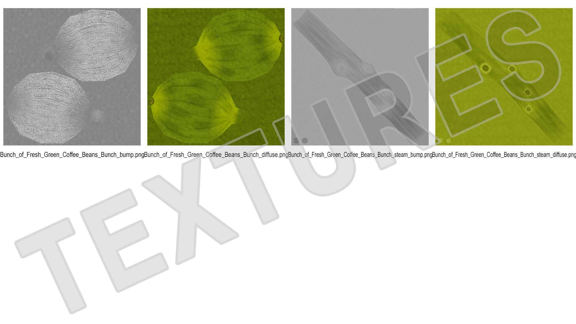 3D Bunch of Fresh Green Coffee Beans model