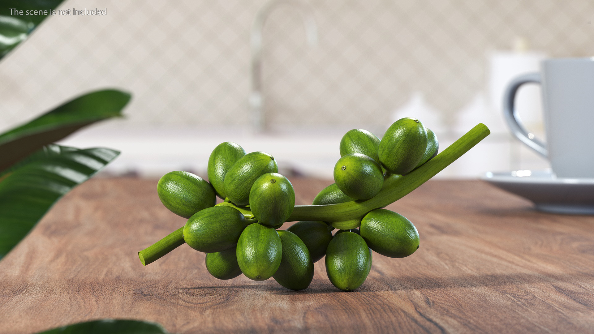 3D Bunch of Fresh Green Coffee Beans model