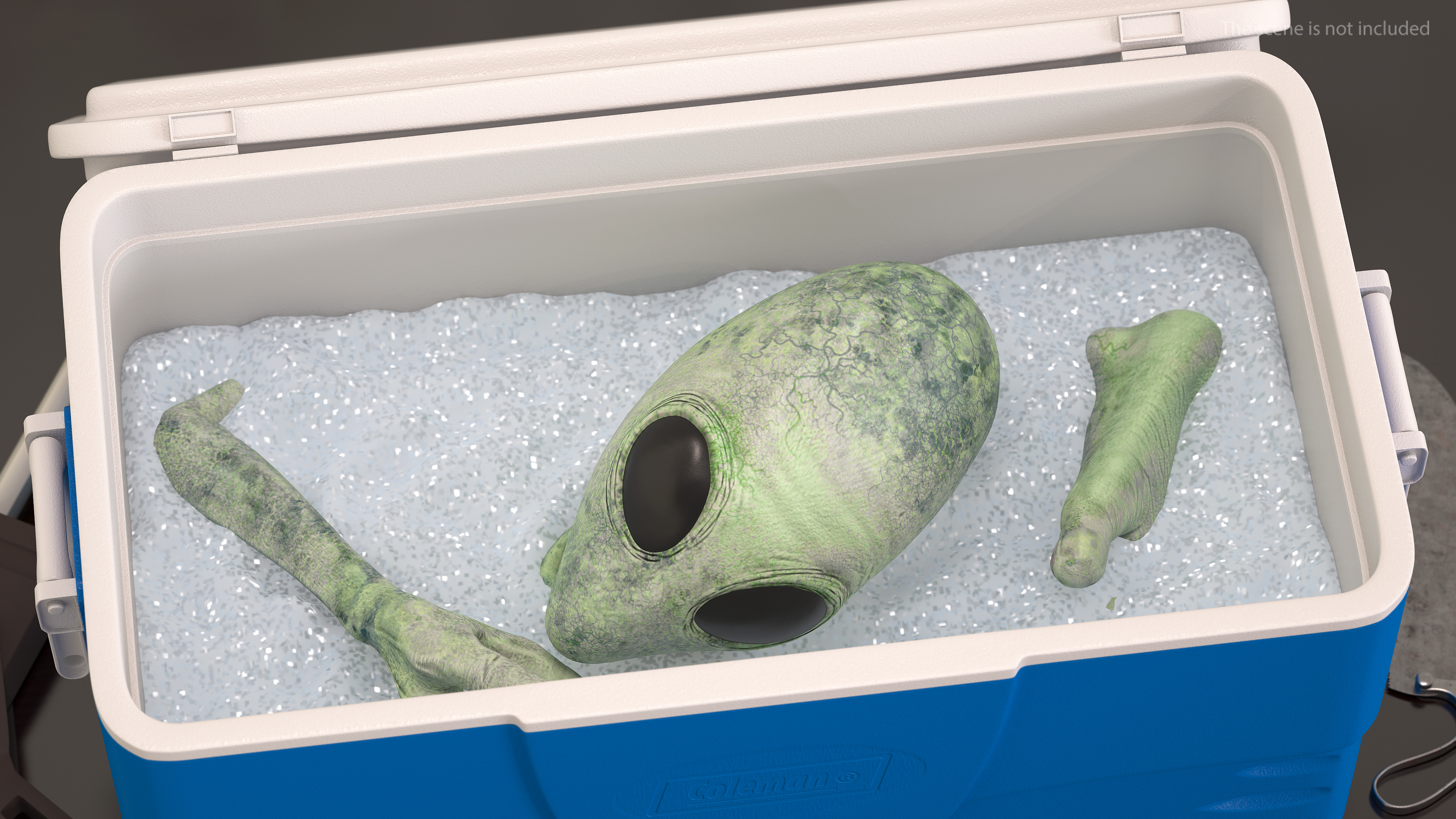 3D Green Alien Head