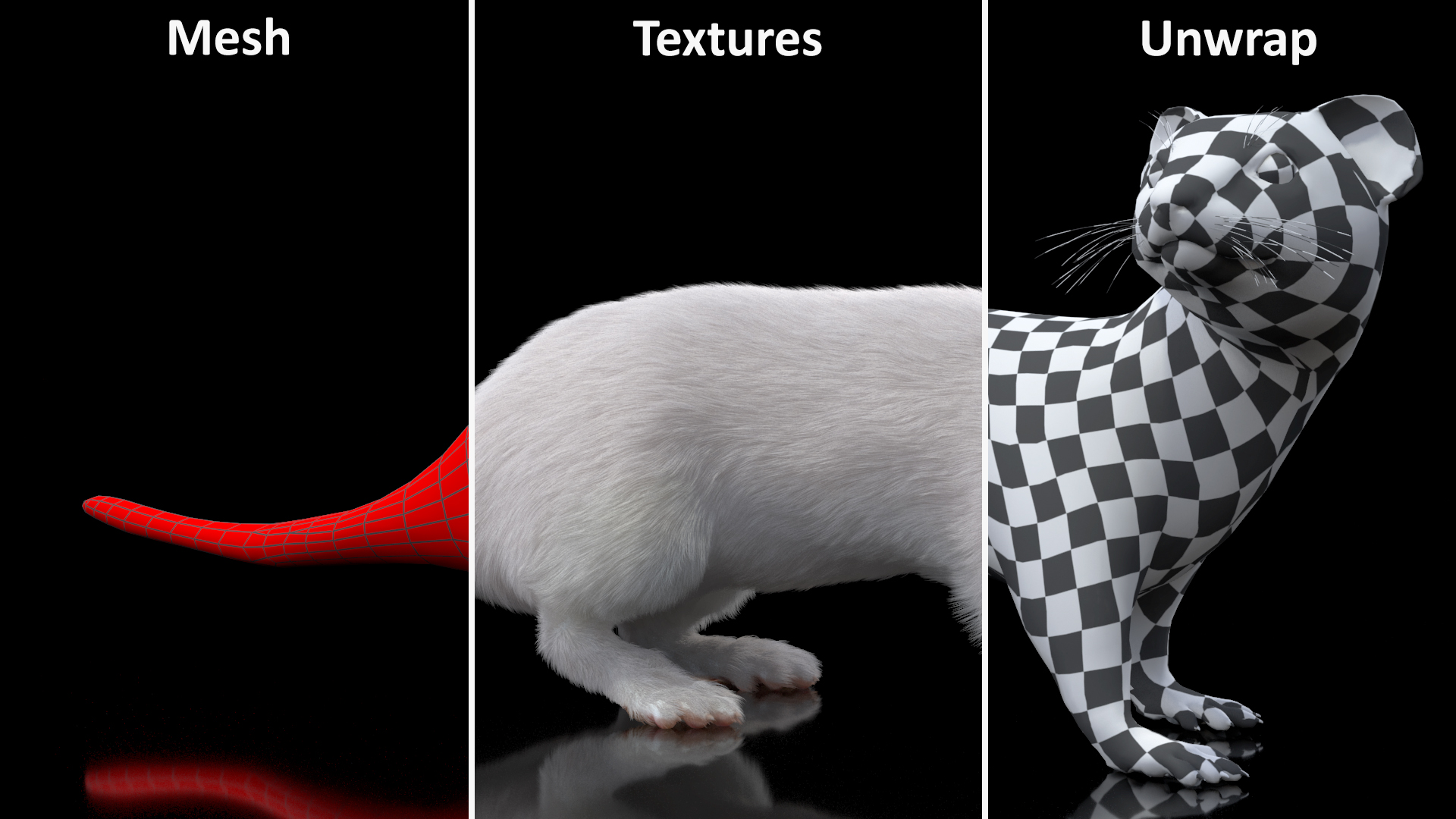3D model White Ermine Lifelike Pose Fur