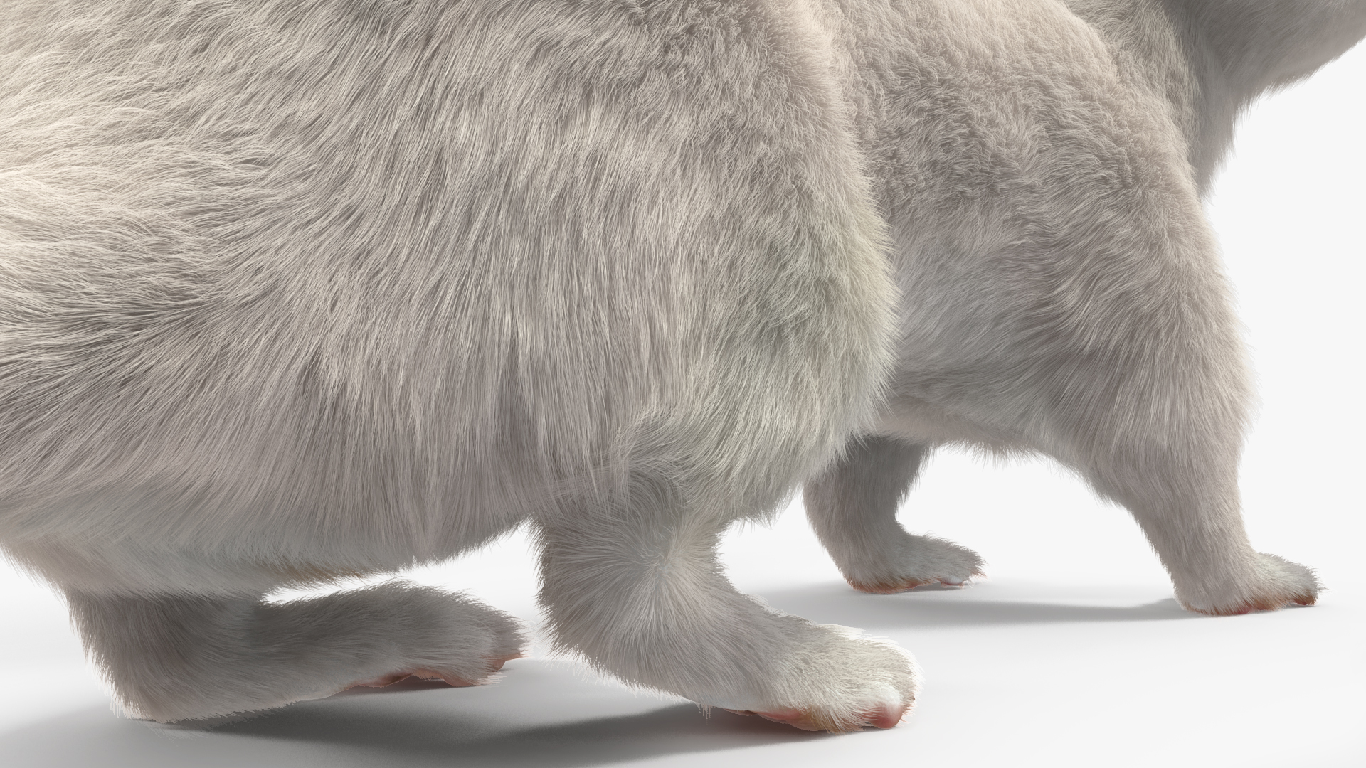 3D model White Ermine Lifelike Pose Fur