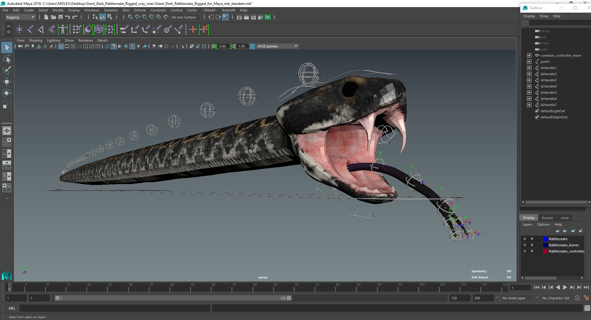 3D Giant Dark Rattlesnake Rigged for Maya model