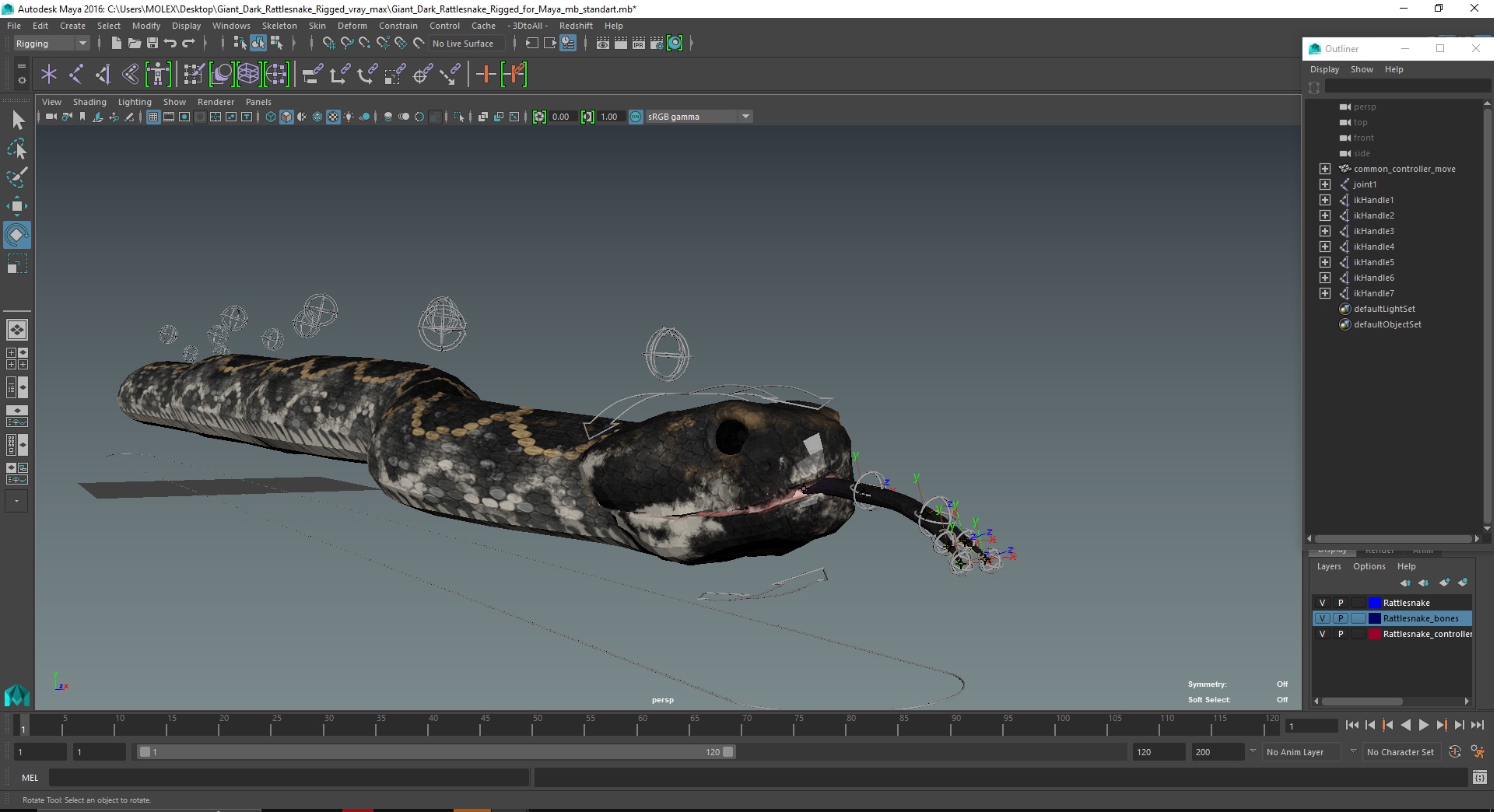 3D Giant Dark Rattlesnake Rigged for Maya model