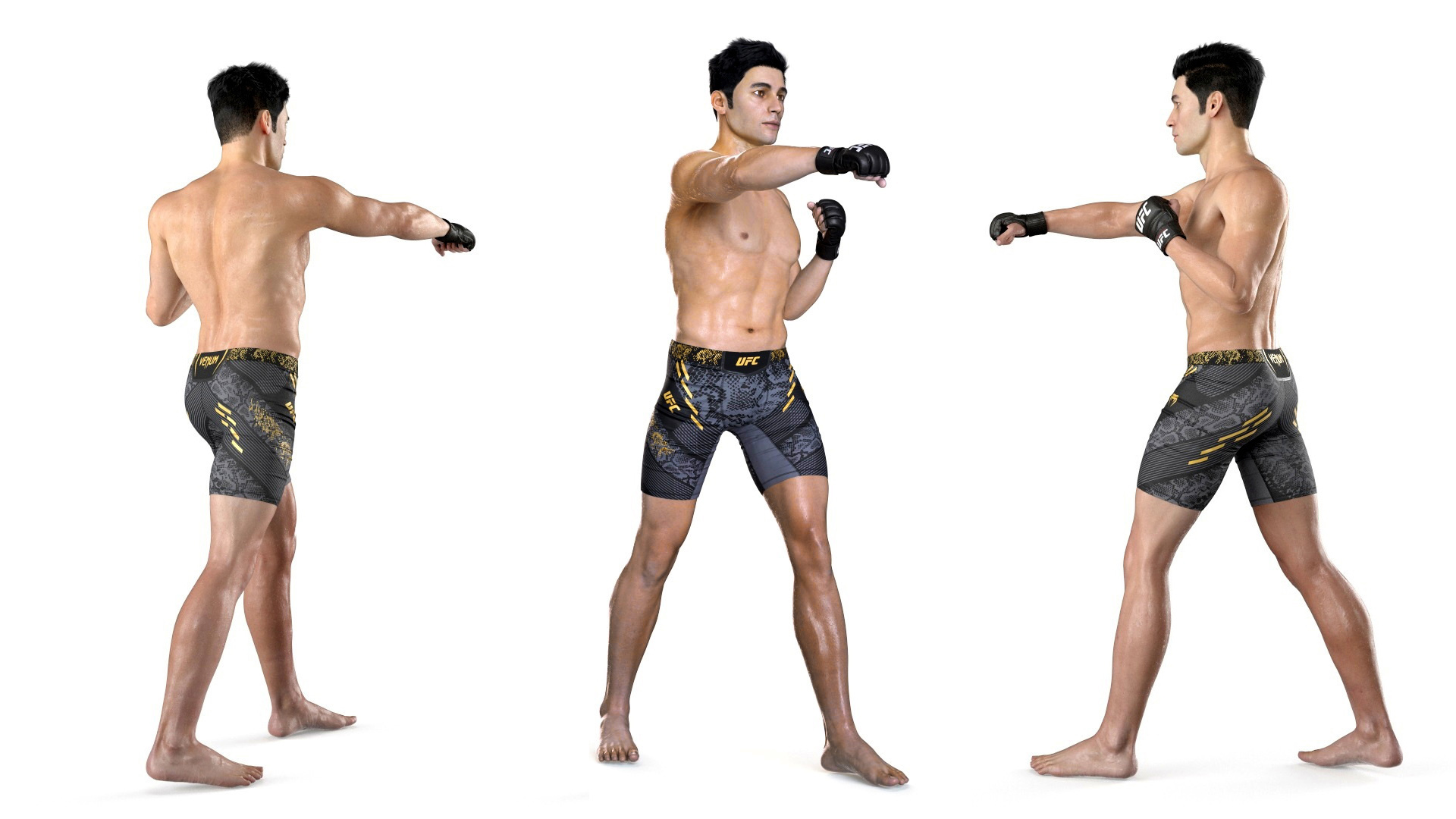 3D UFC MMA Fighter Sweaty Fur Rigged model