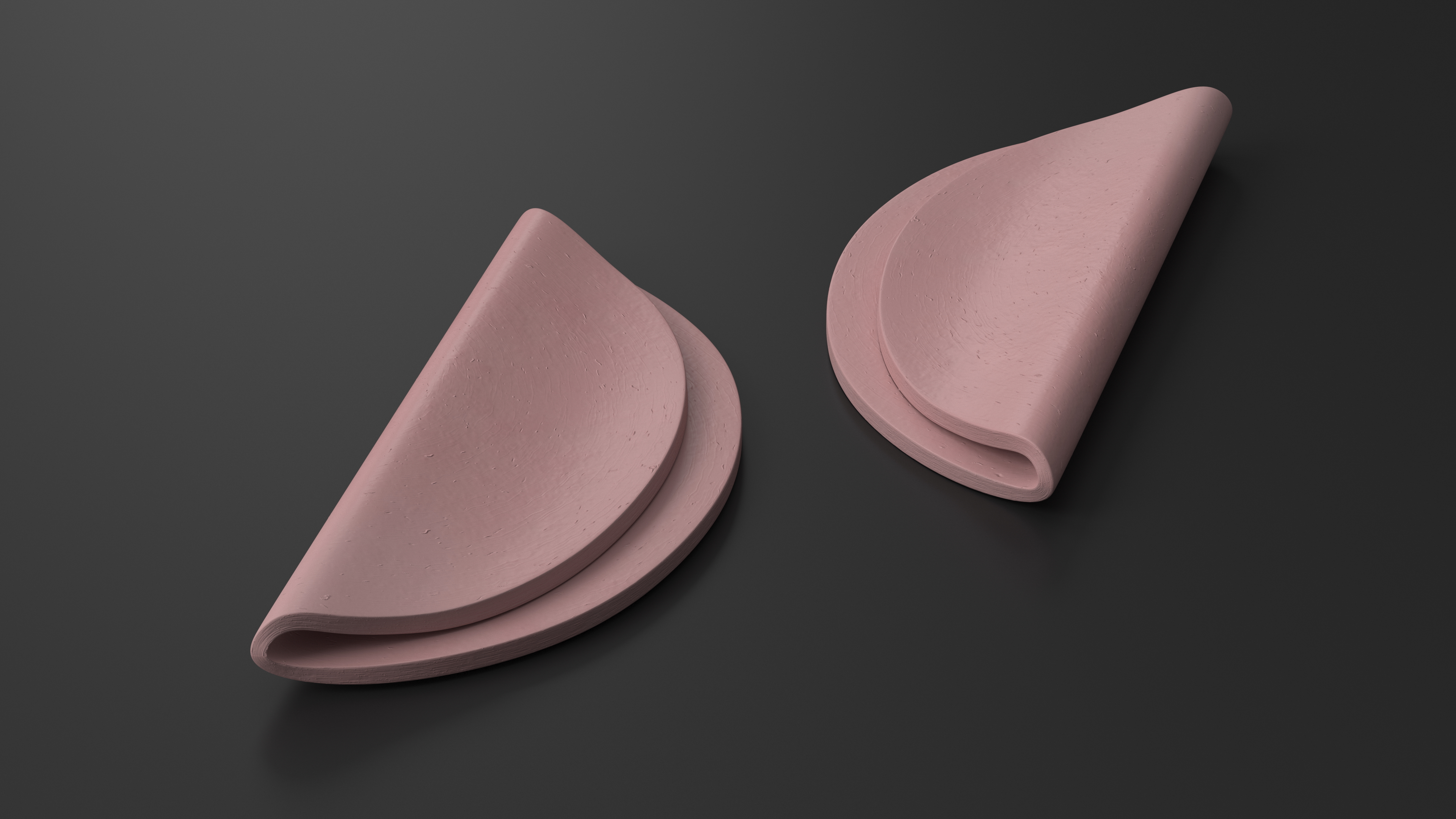 3D model Slice Boiled Sausage
