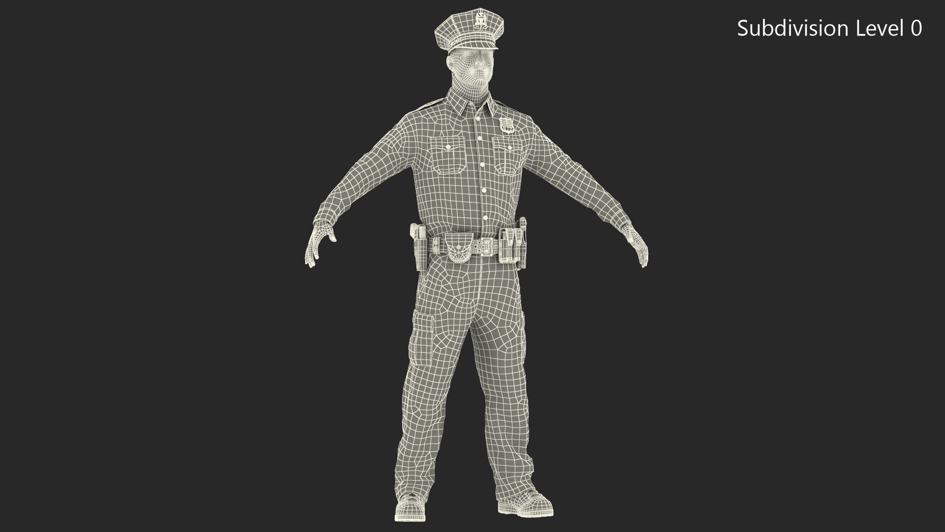 3D model NYPD Police Officer T-Pose Fur