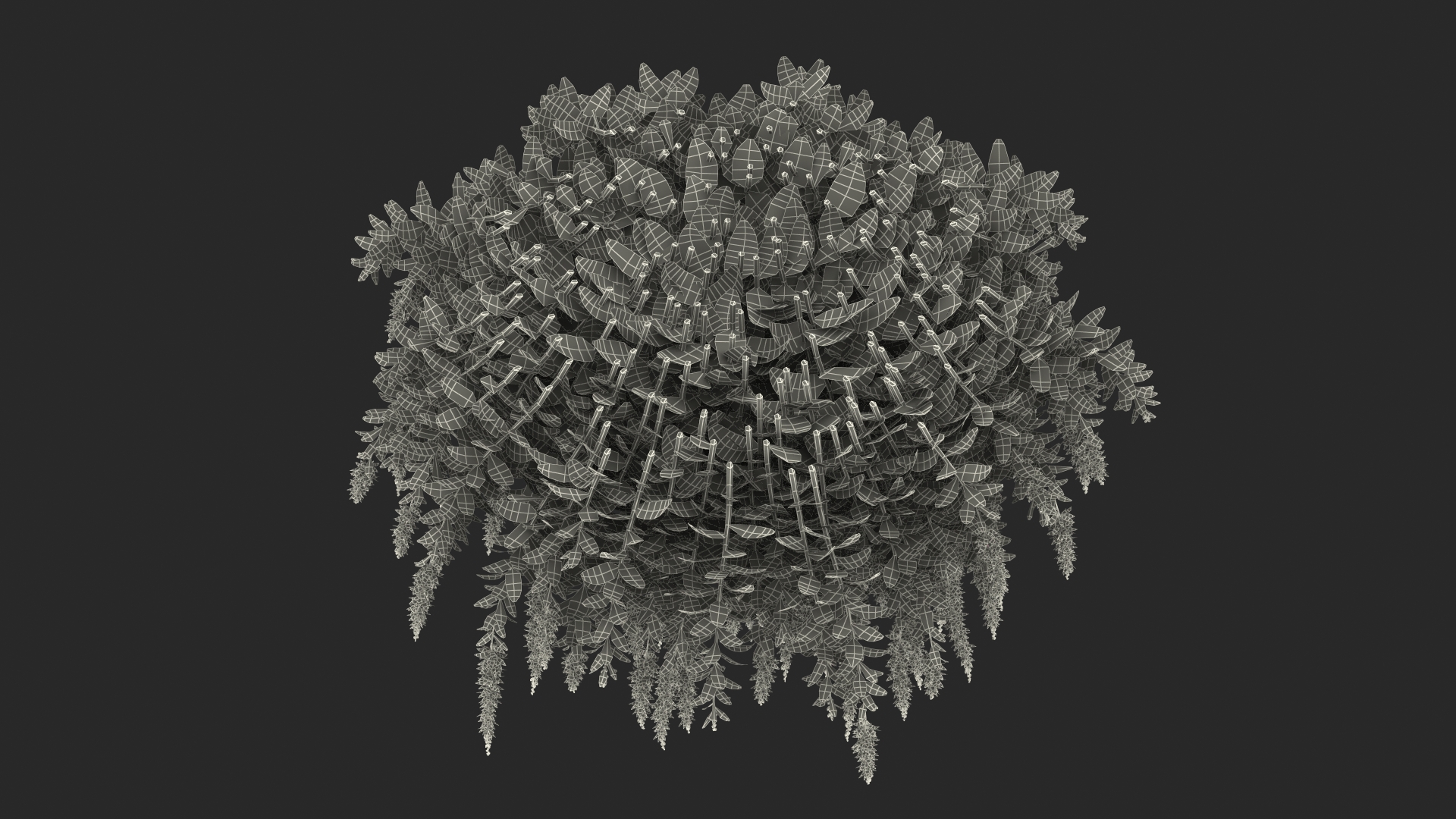 3D model Blooming Meadow Sage Snow Will
