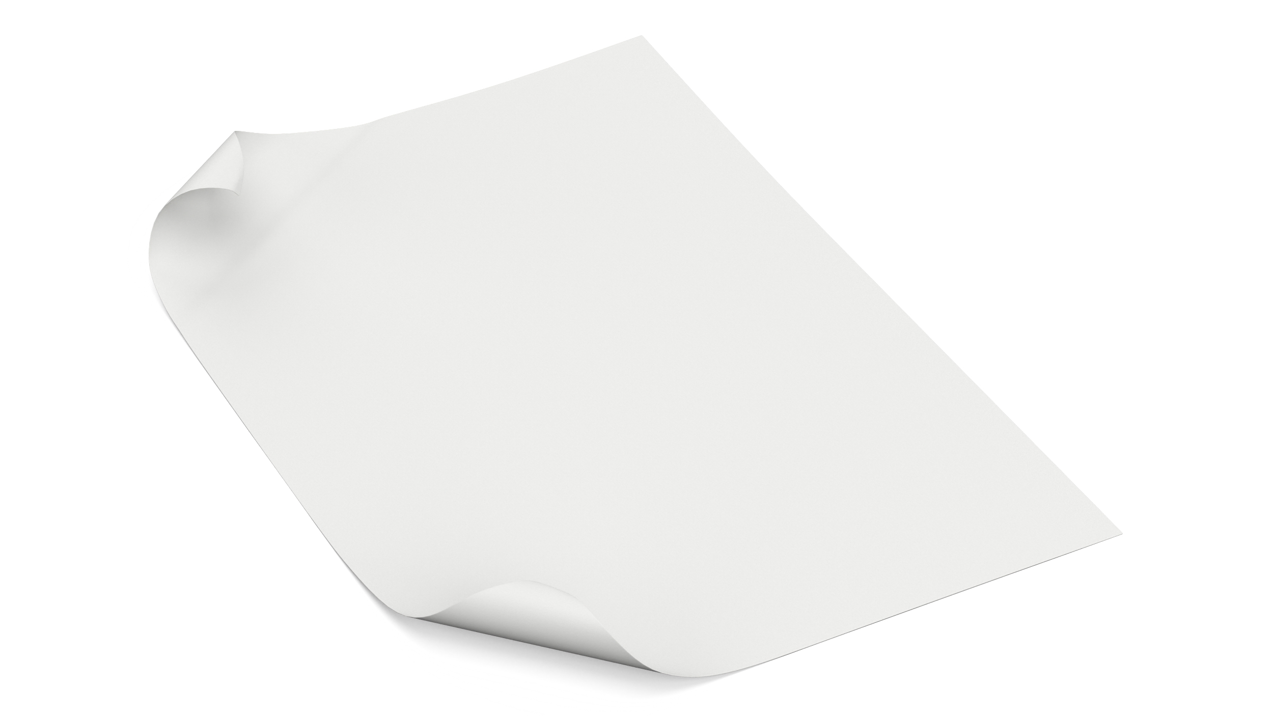 3D model Paper Sheet With Two Curled Corners