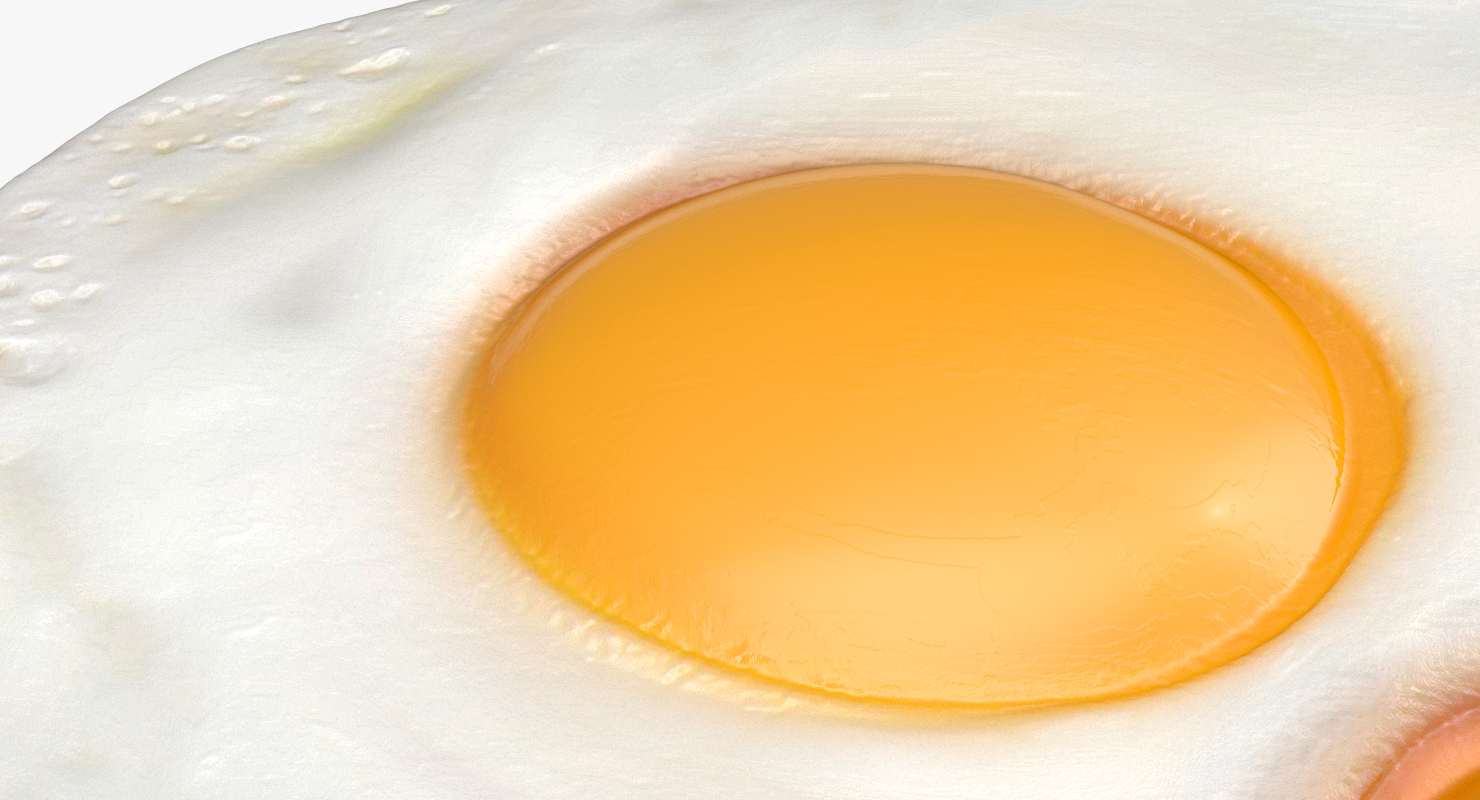 Two Fried Eggs 3D model