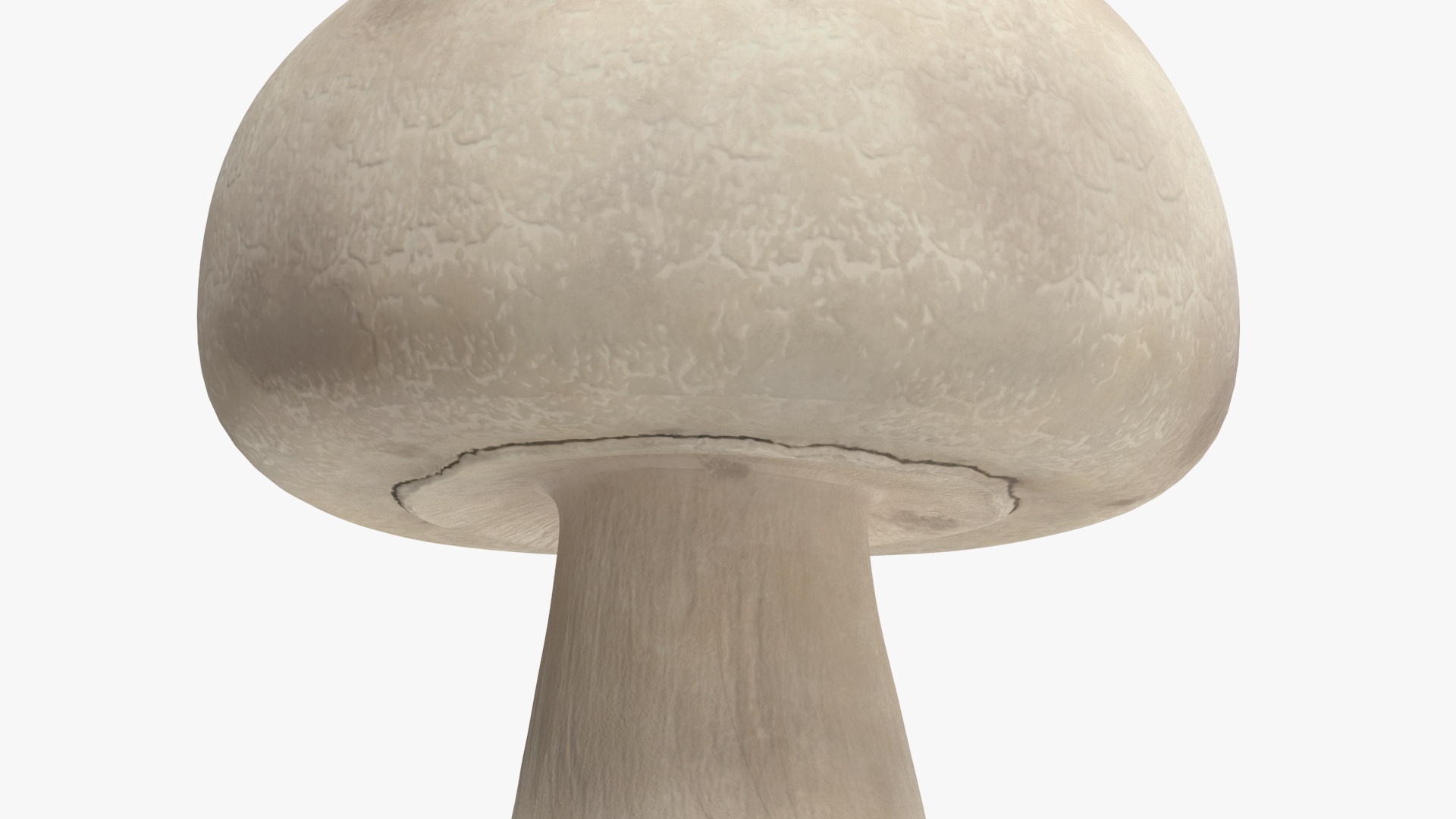 3D model Champignon