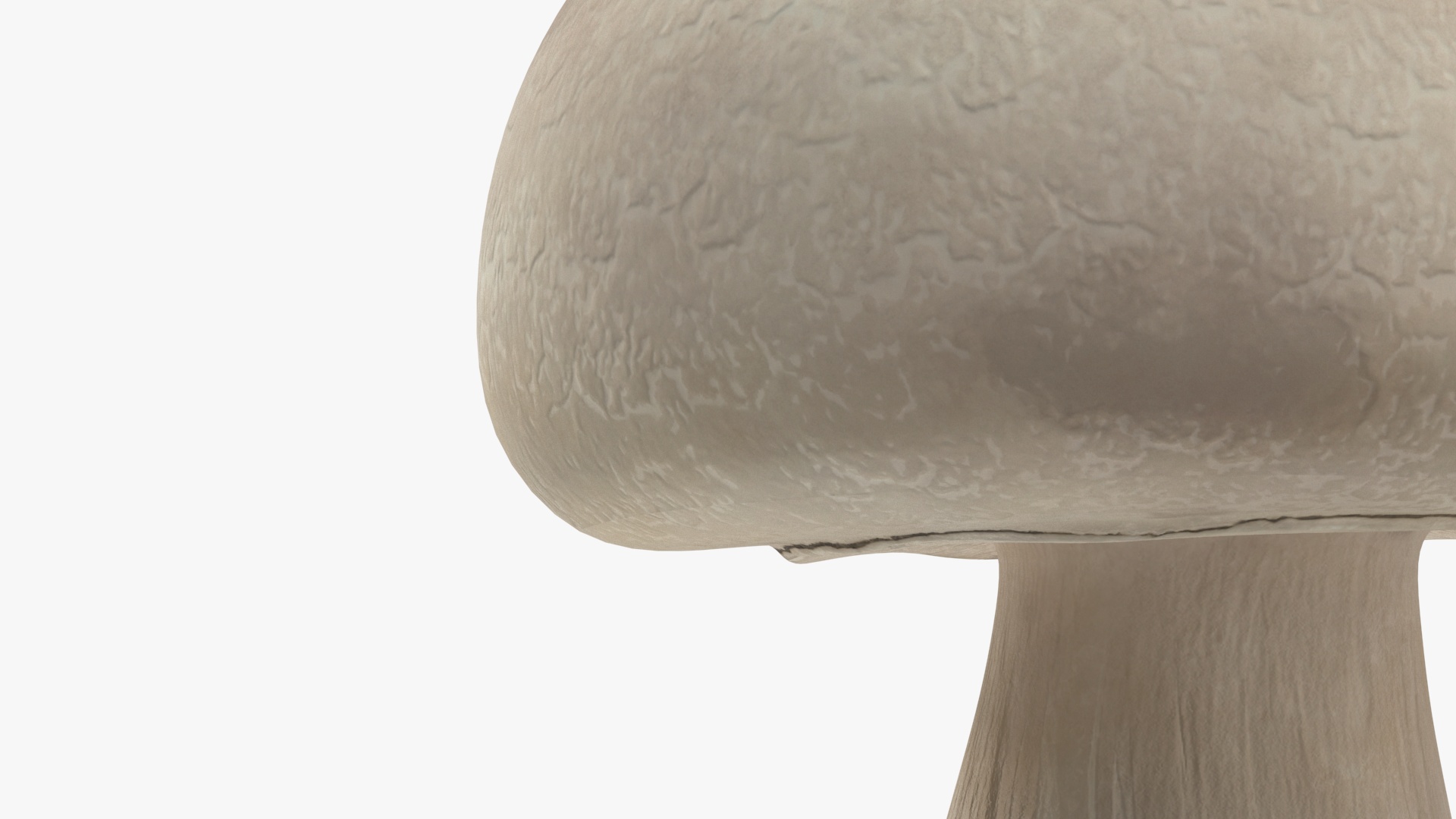 3D model Champignon
