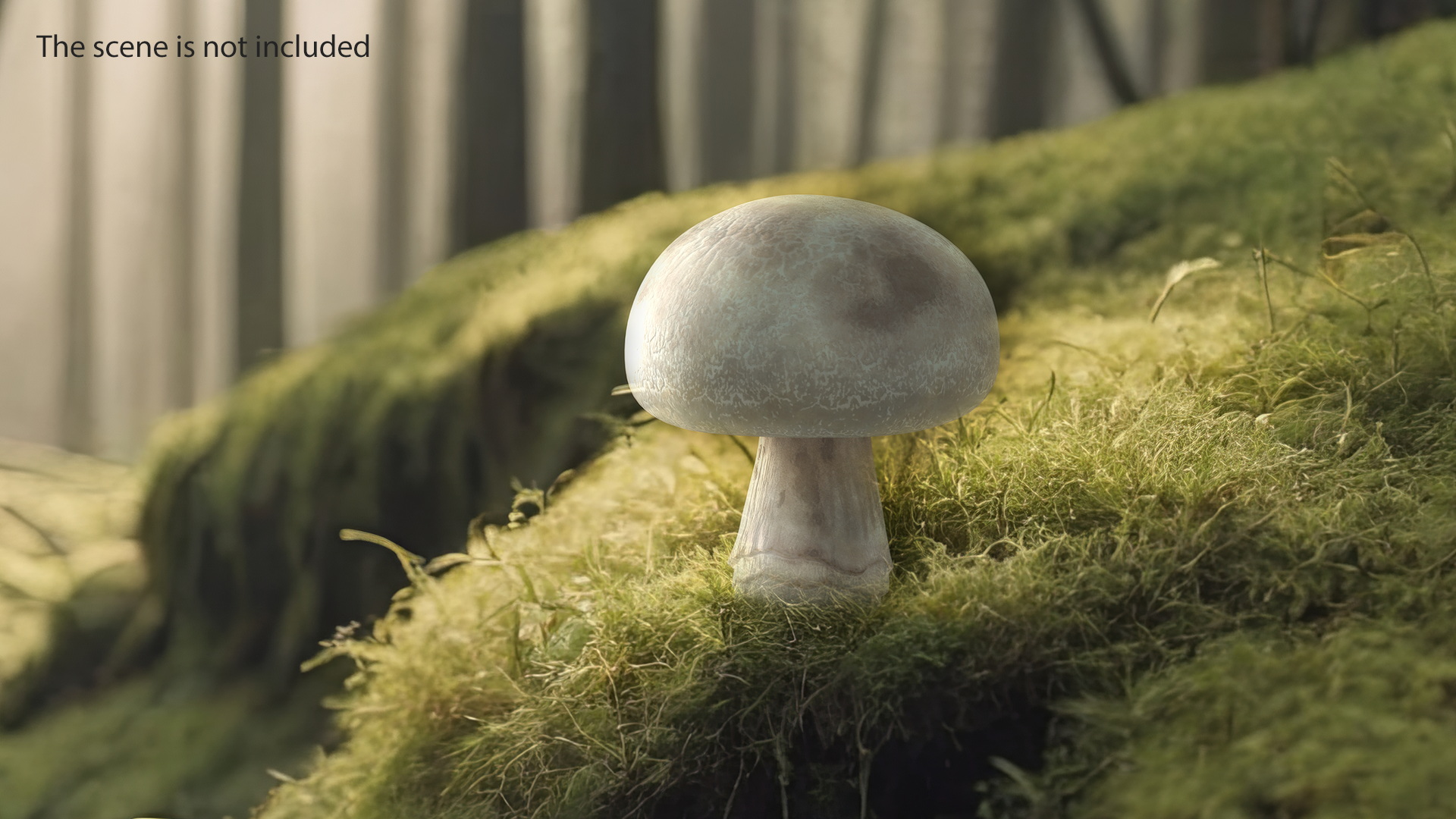 3D model Champignon