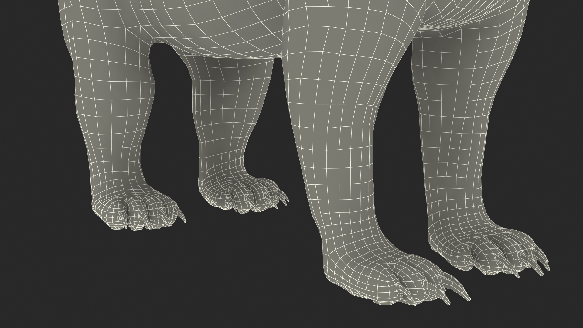 3D Black Bear Rigged for Maya