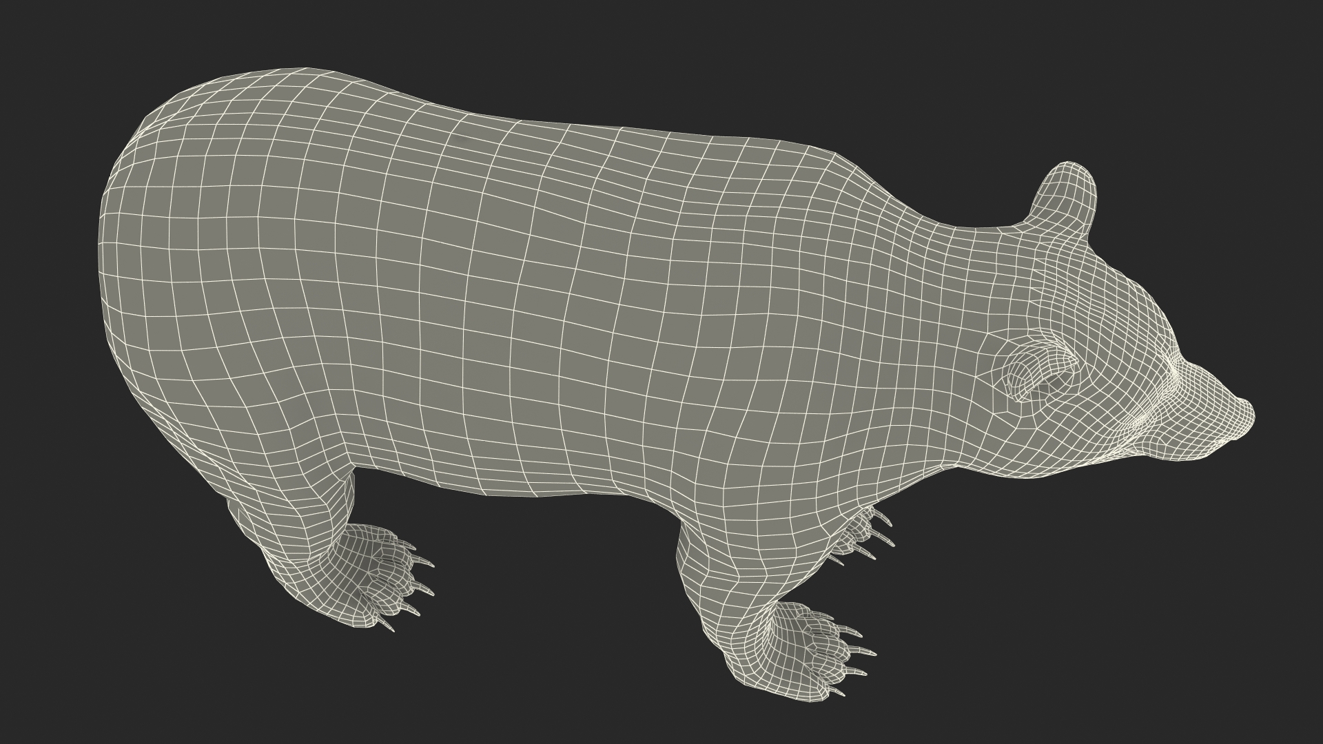 3D Black Bear Rigged for Maya