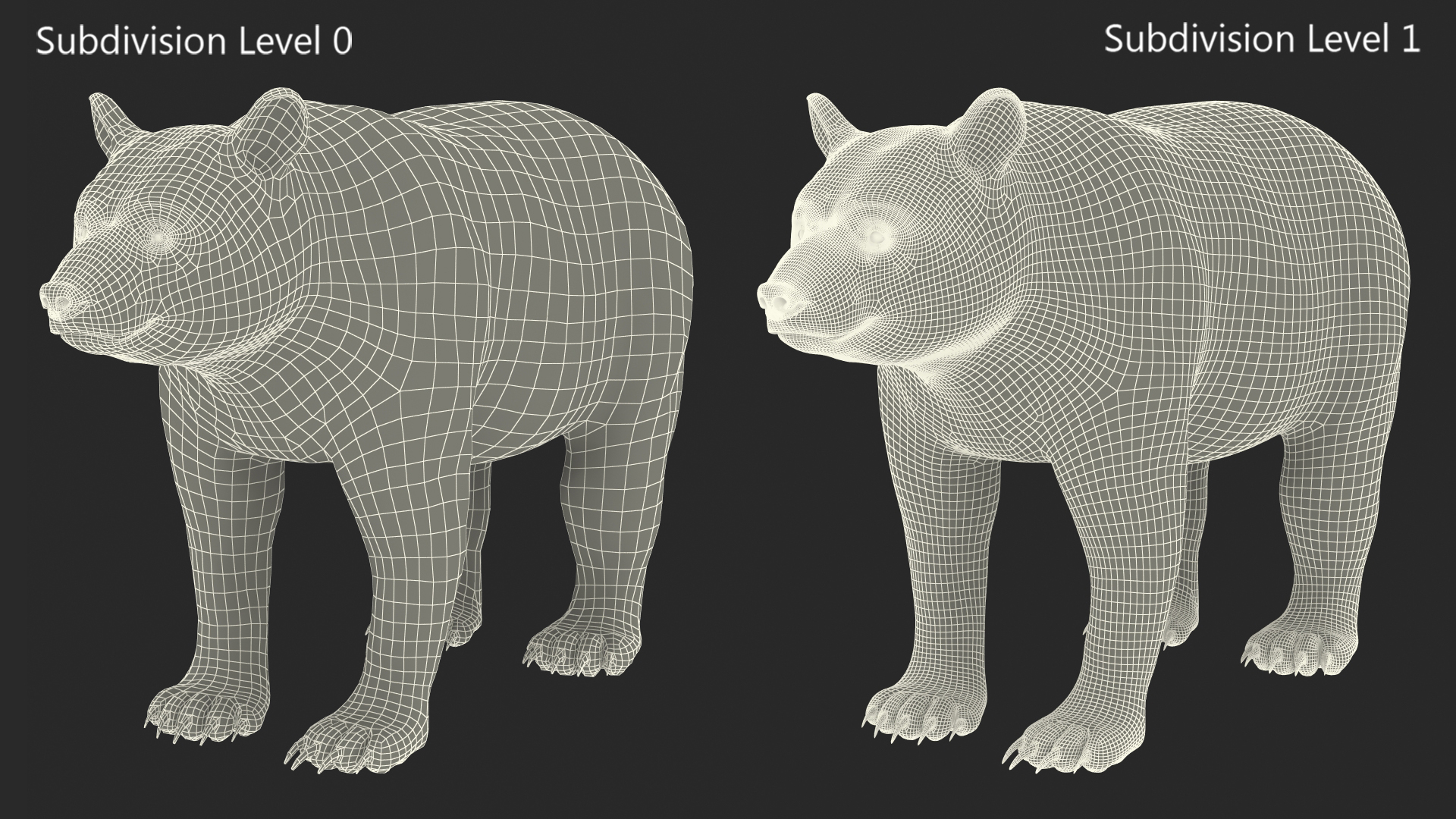 3D Black Bear Rigged for Maya