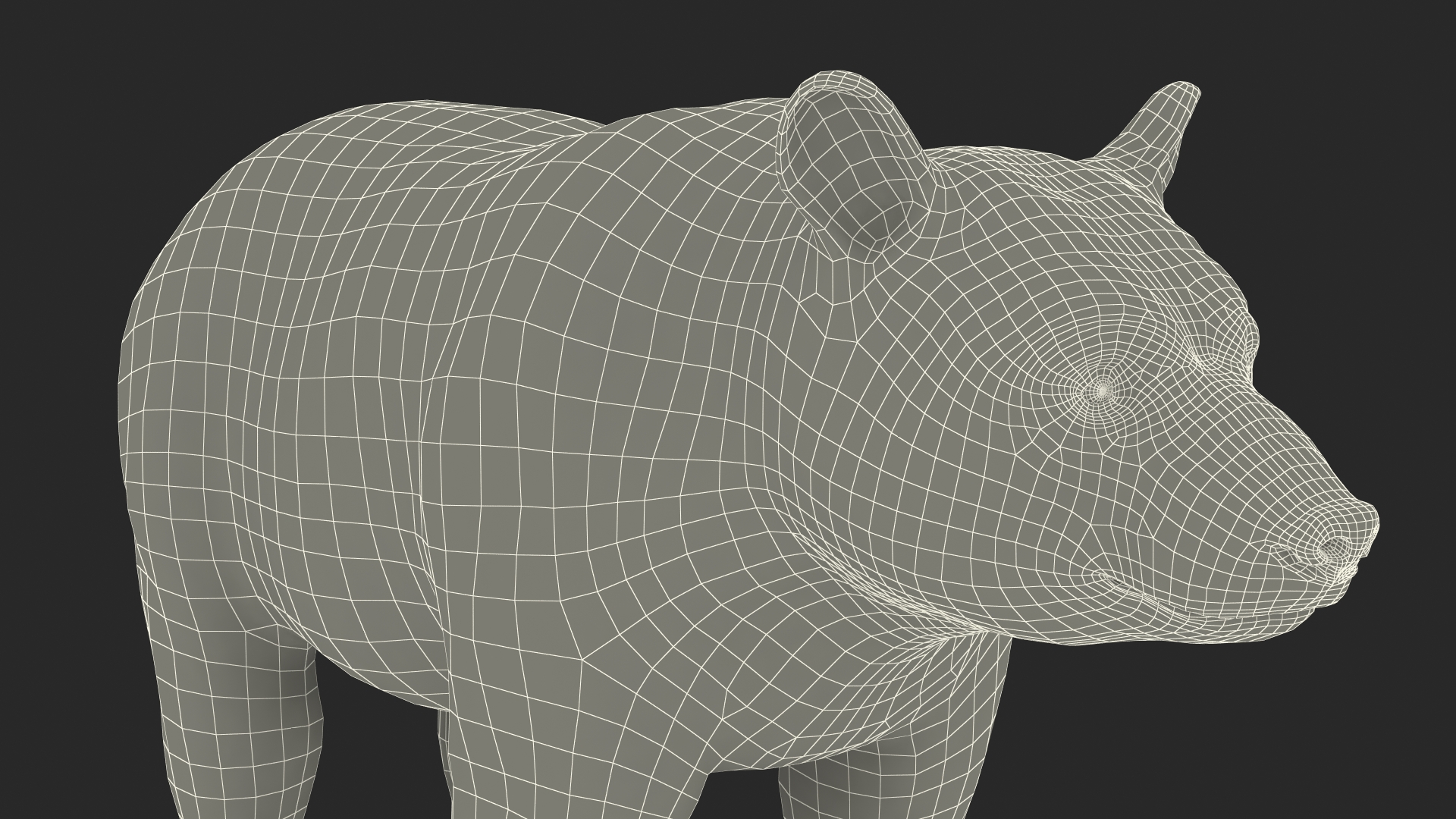 3D Black Bear Rigged for Maya