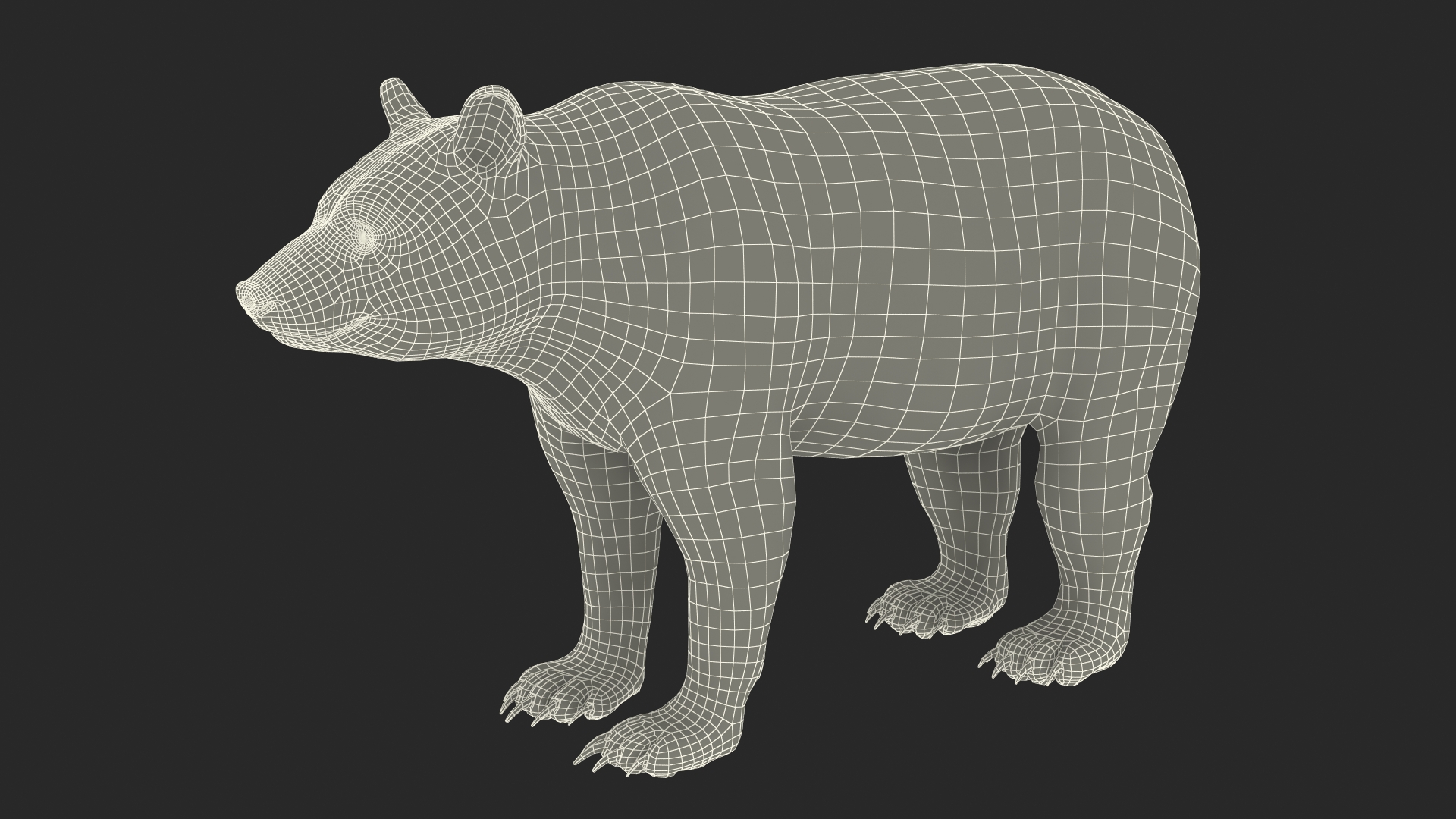 3D Black Bear Rigged for Maya