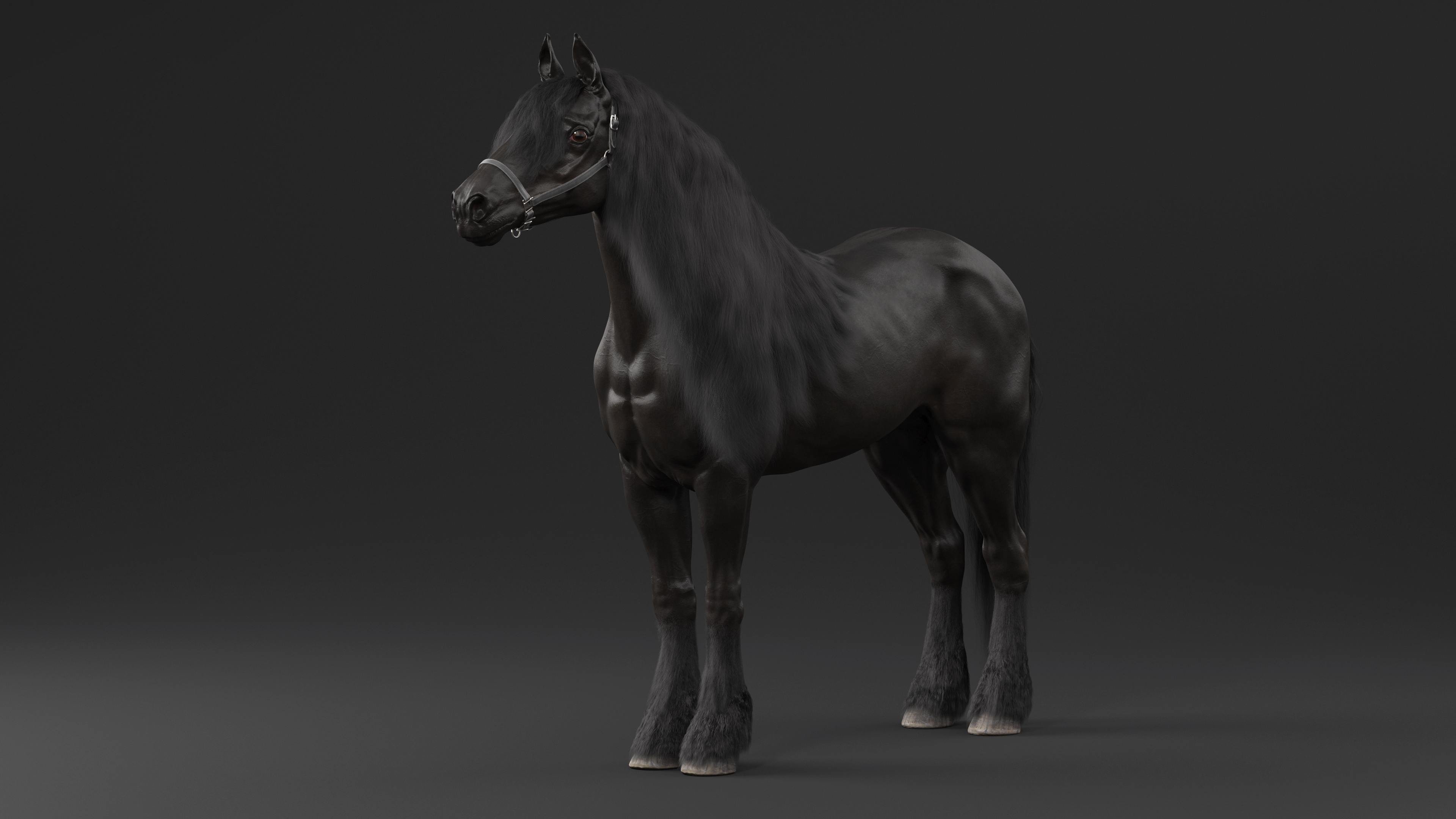 3D Friesian Horse Fur model