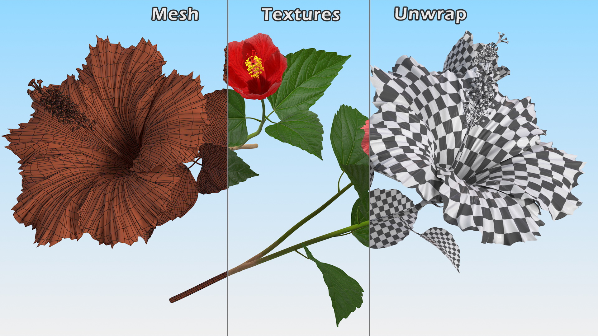 3D Hibiscus Branch with Flower Red