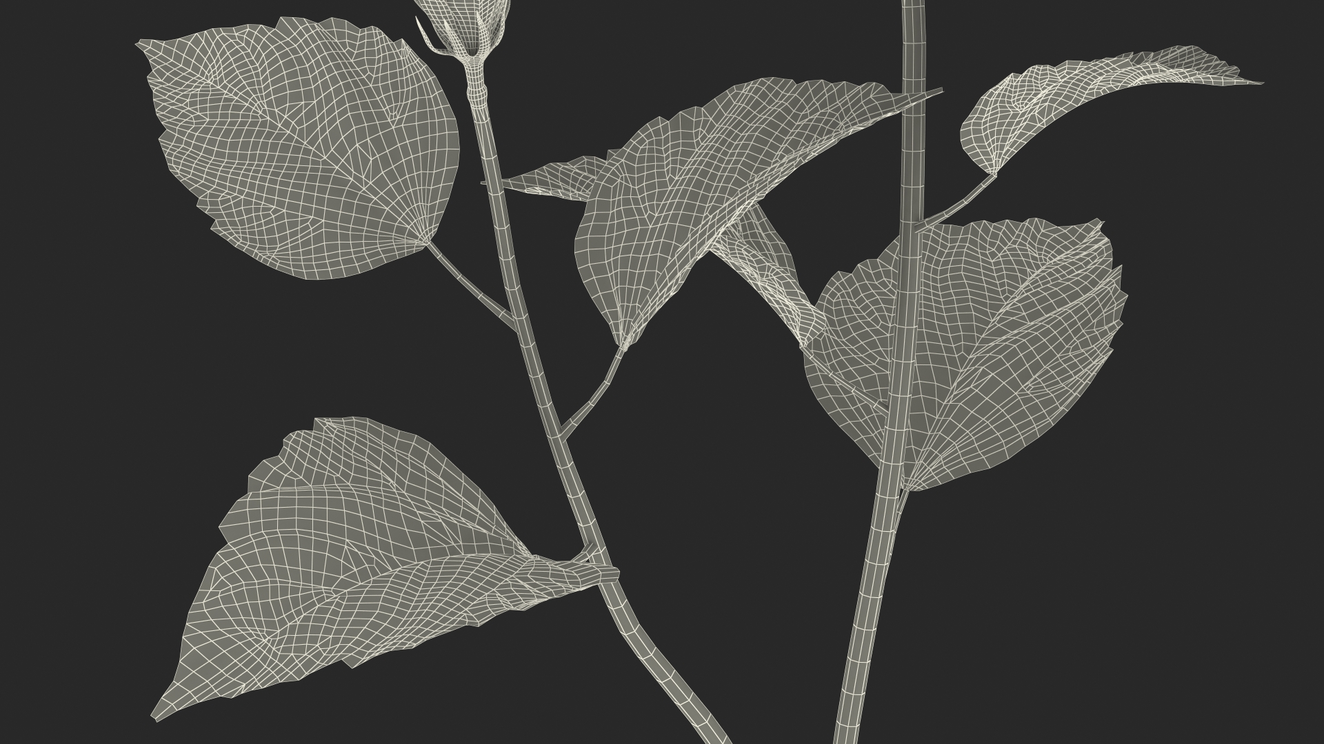 3D Hibiscus Branch with Flower Red