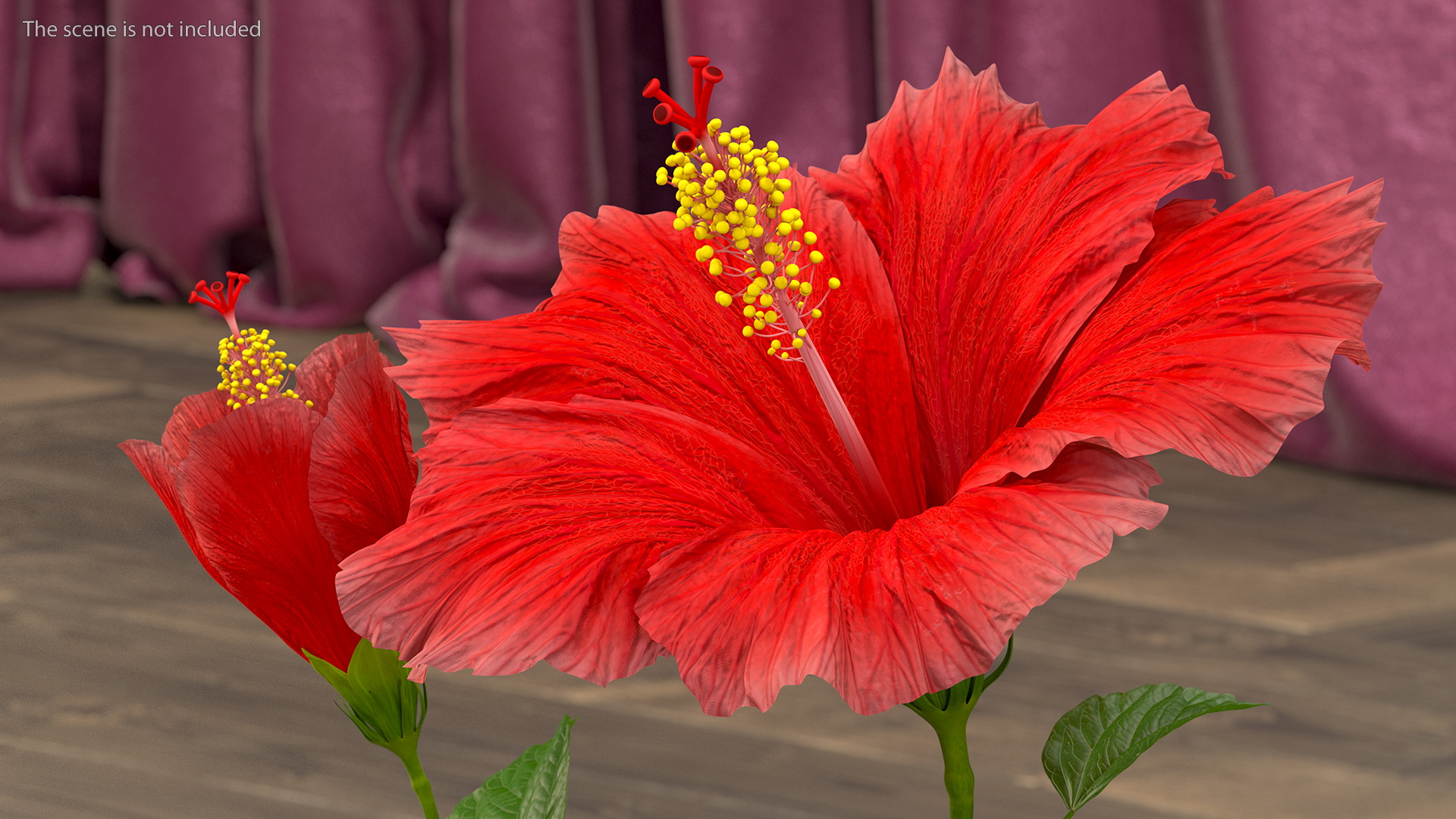 3D Hibiscus Branch with Flower Red